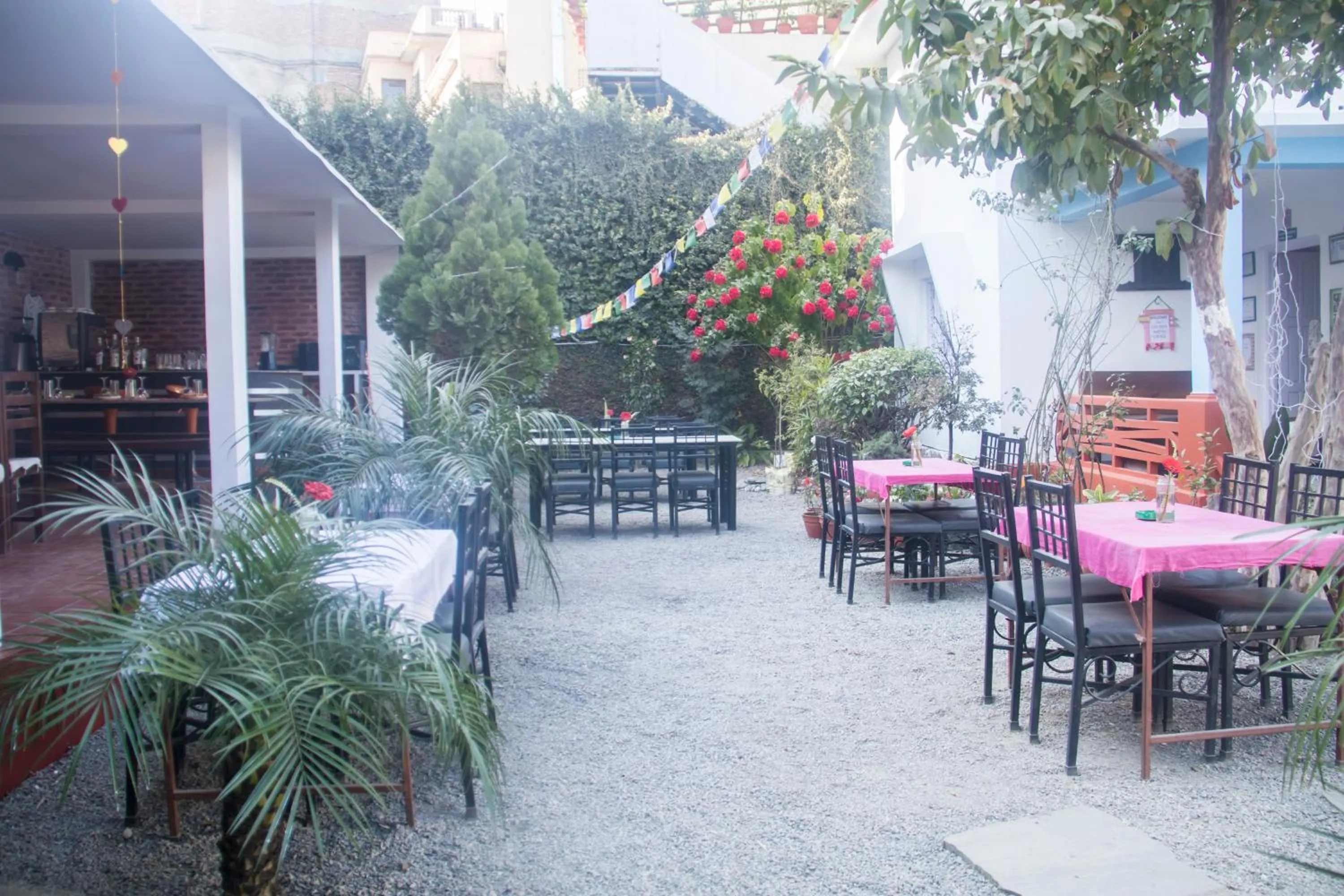 Restaurant/places to eat in Cocina Mitho Chha BNB