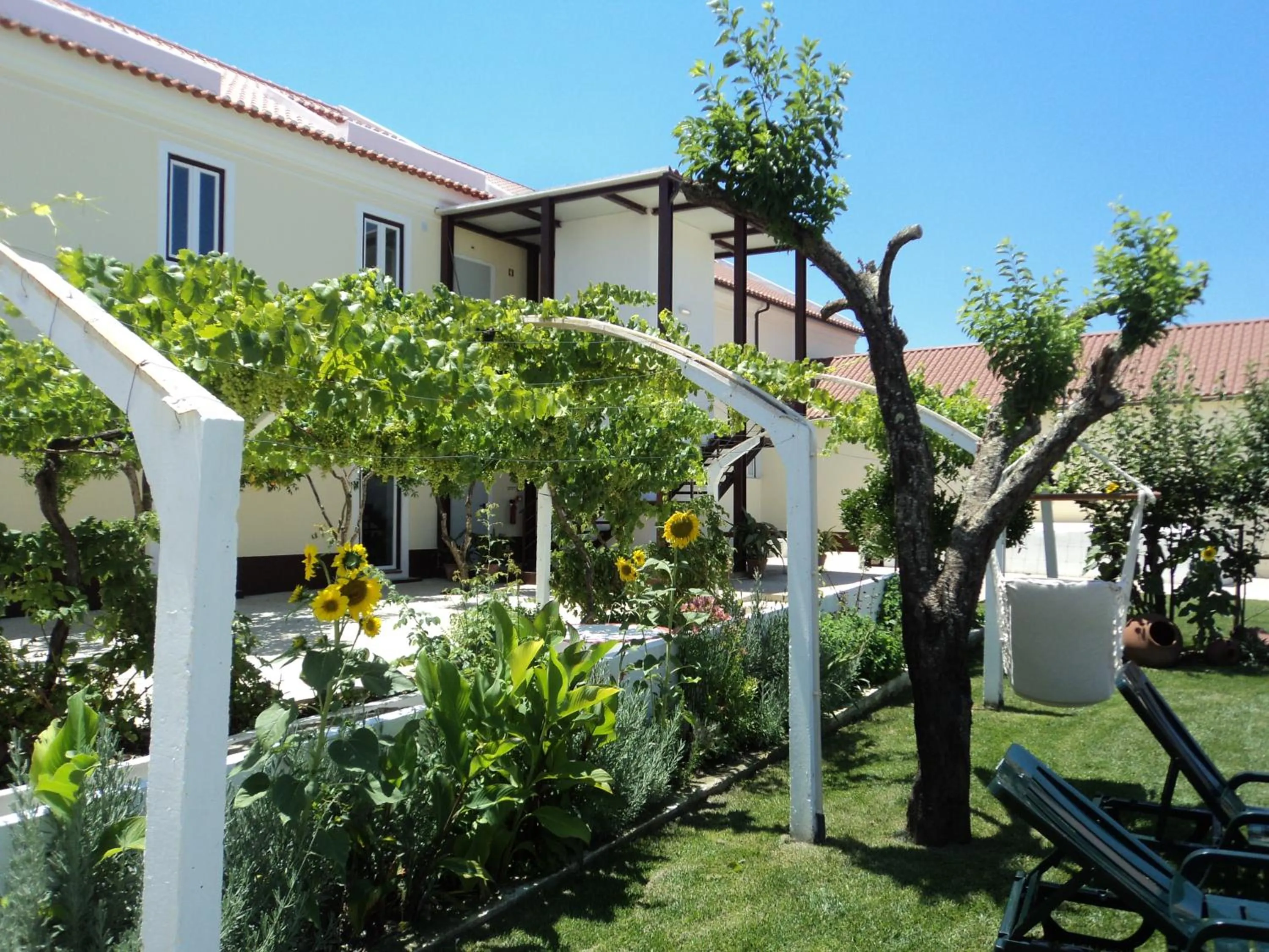 Off site in Casas da Moagem