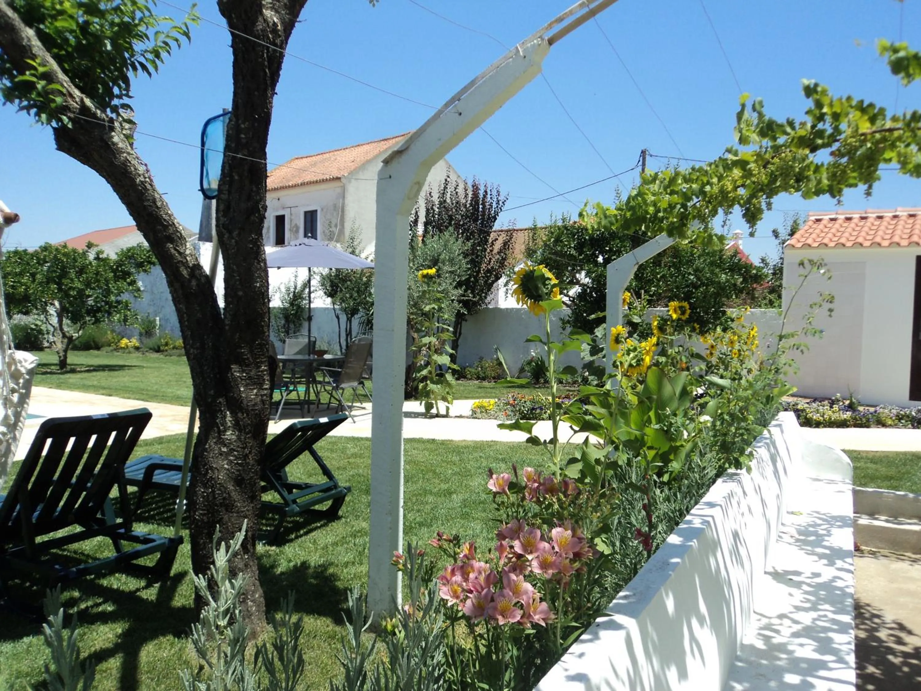 Spring in Casas da Moagem