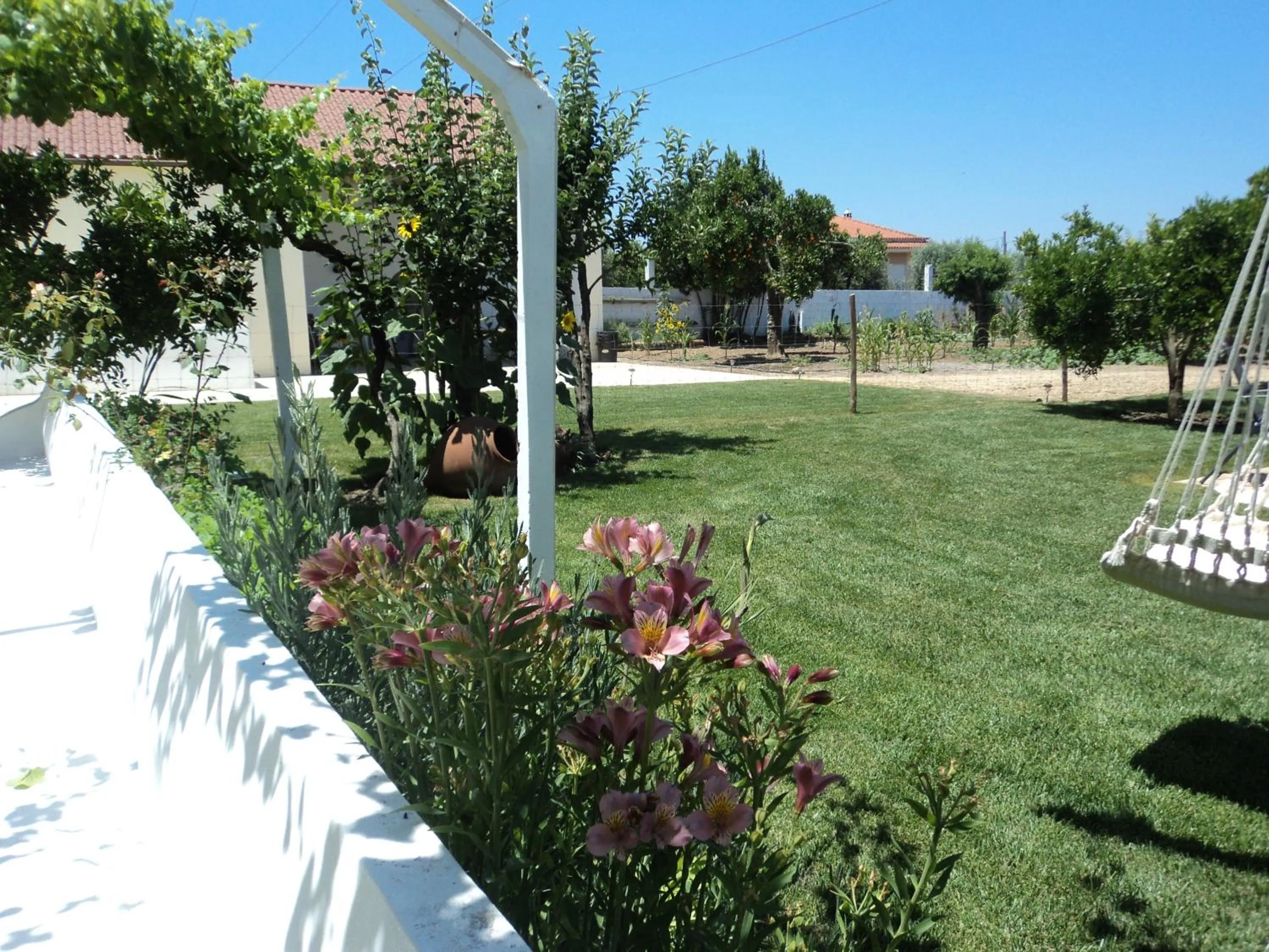 Off site in Casas da Moagem