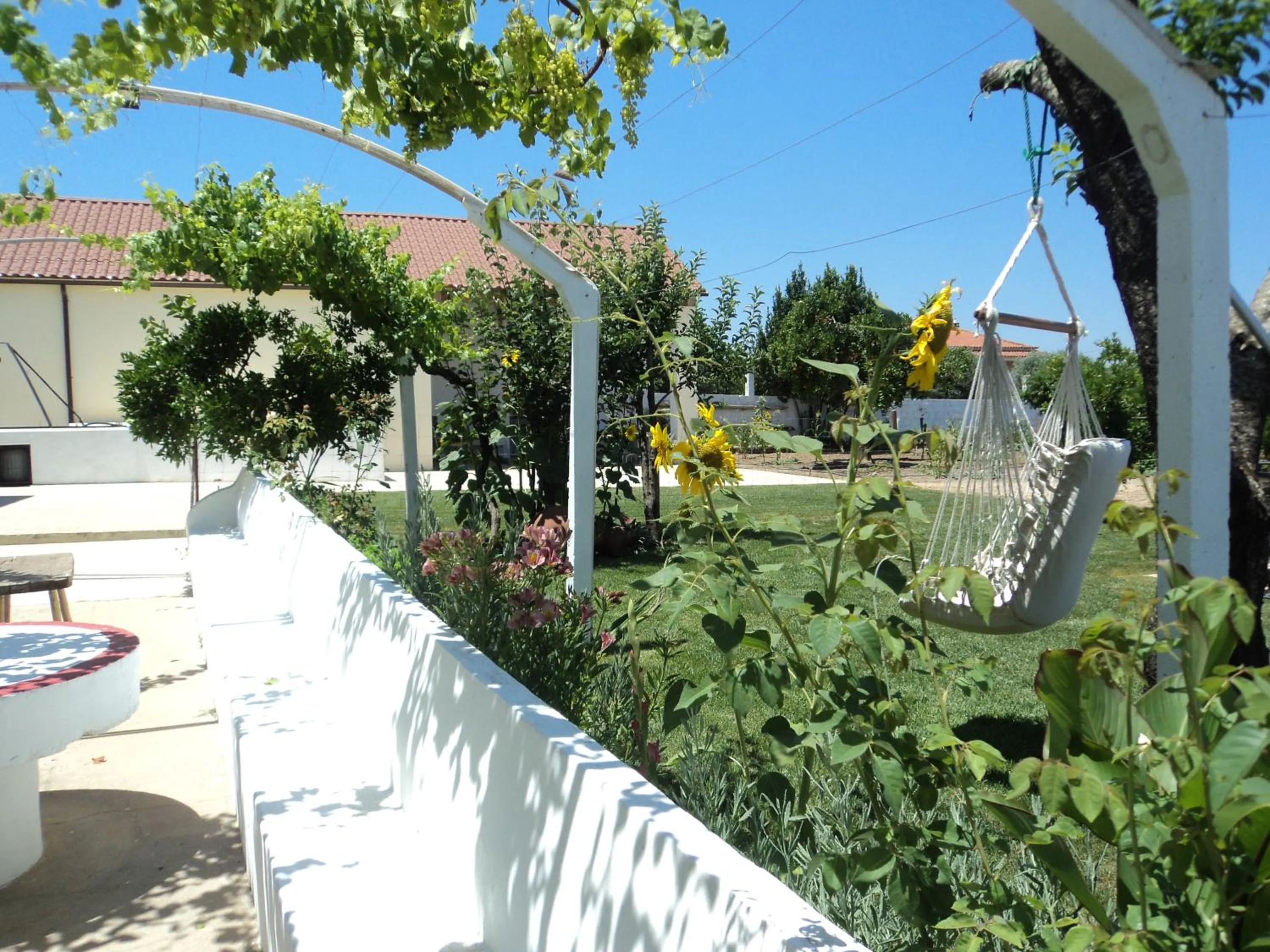 Spring in Casas da Moagem