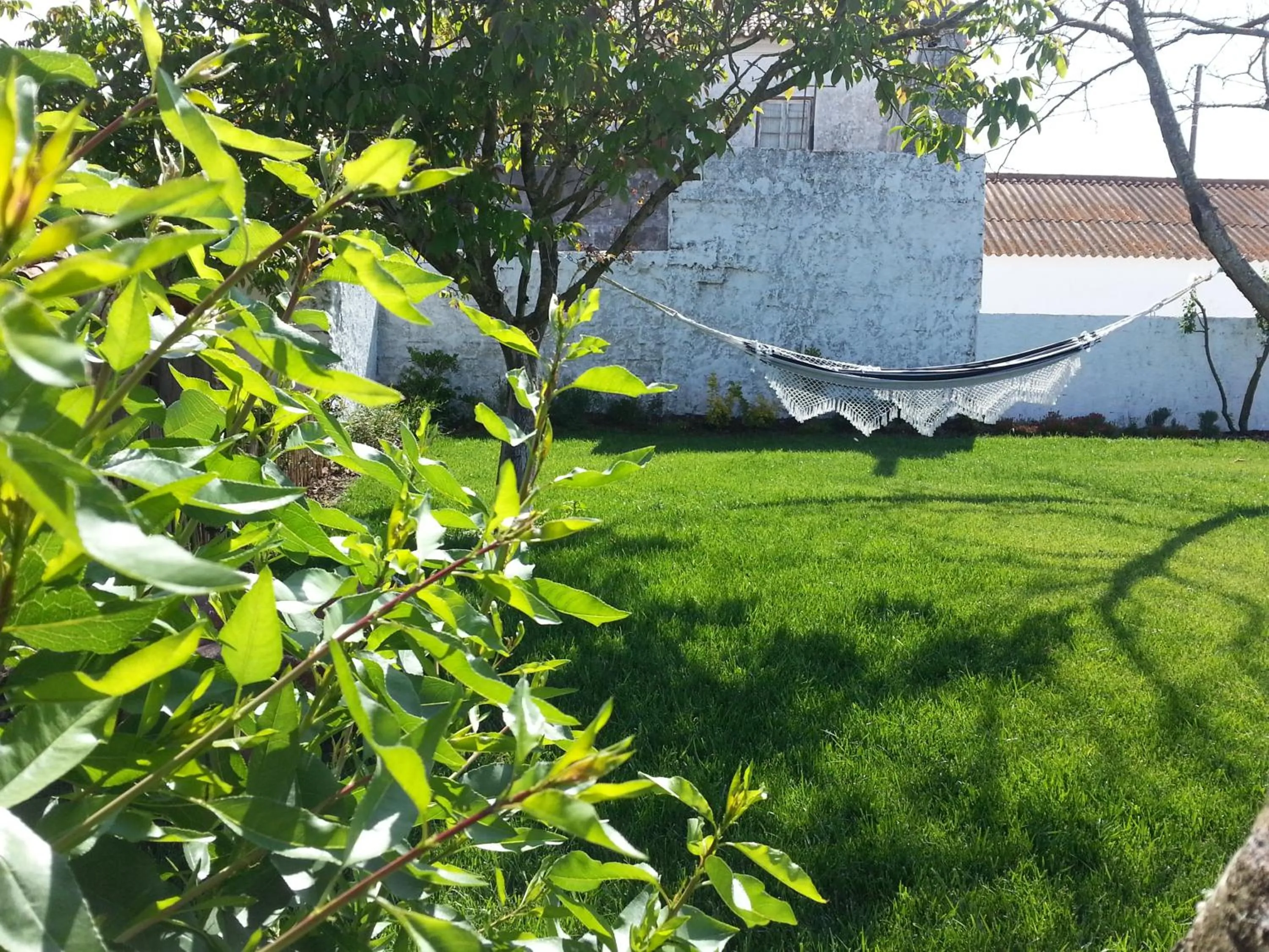 Spring in Casas da Moagem