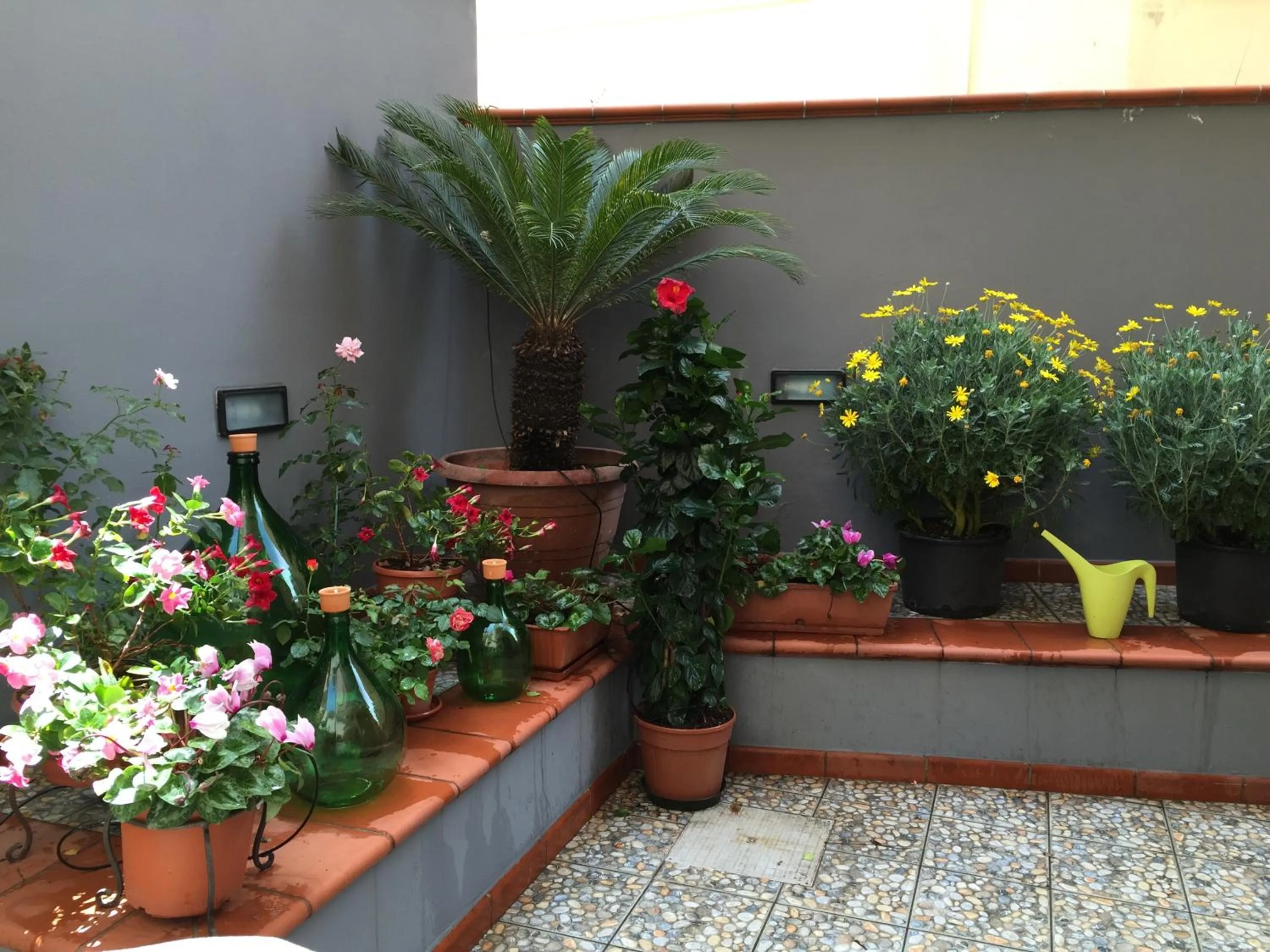 Garden view in B&B Civico Cinque