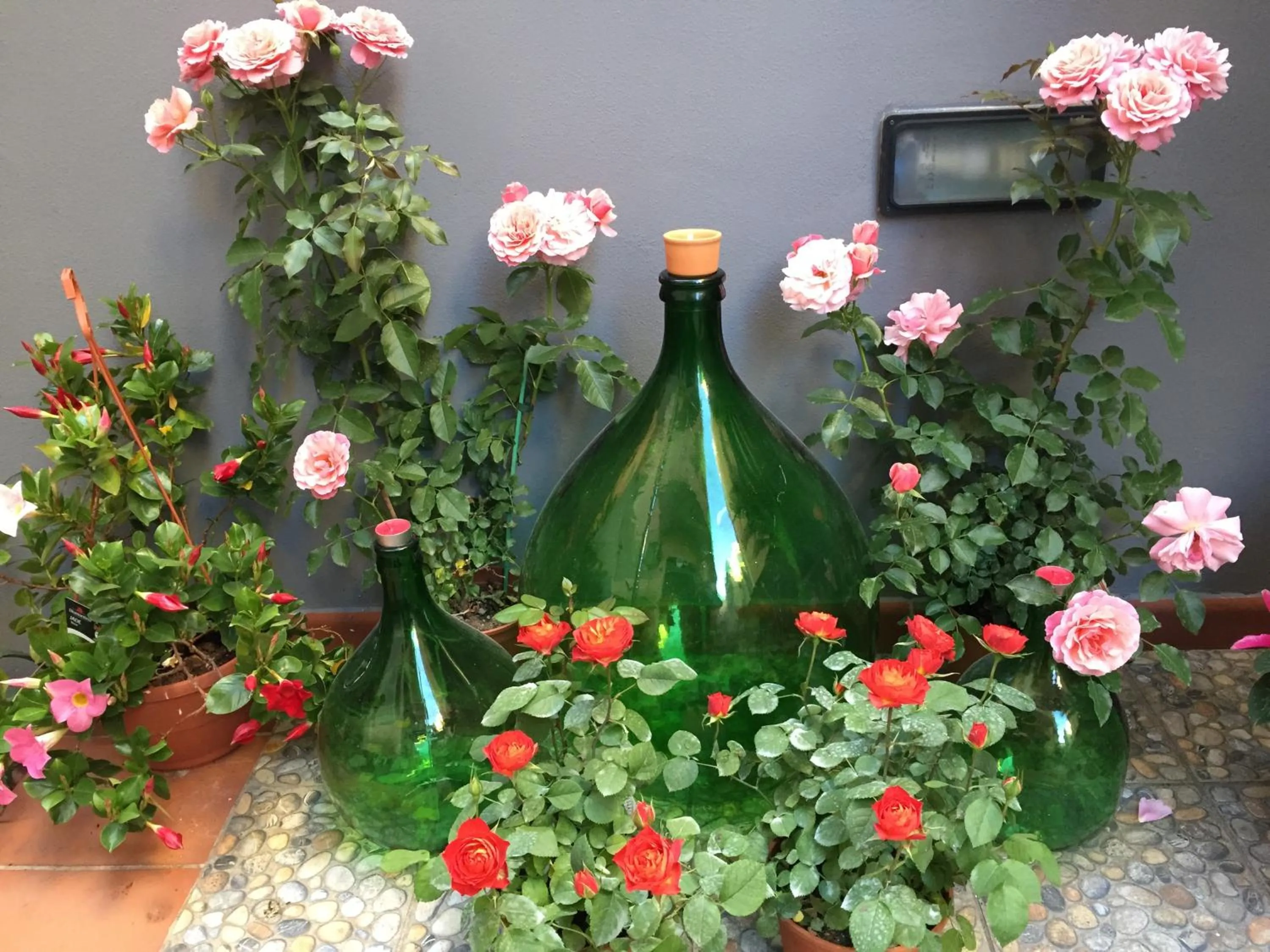 Garden view in B&B Civico Cinque