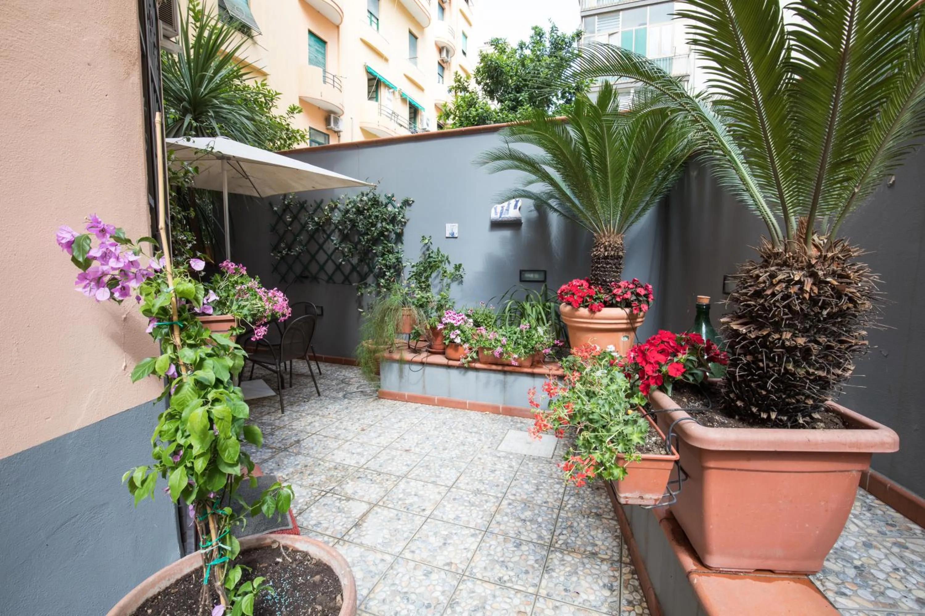 Garden view in B&B Civico Cinque