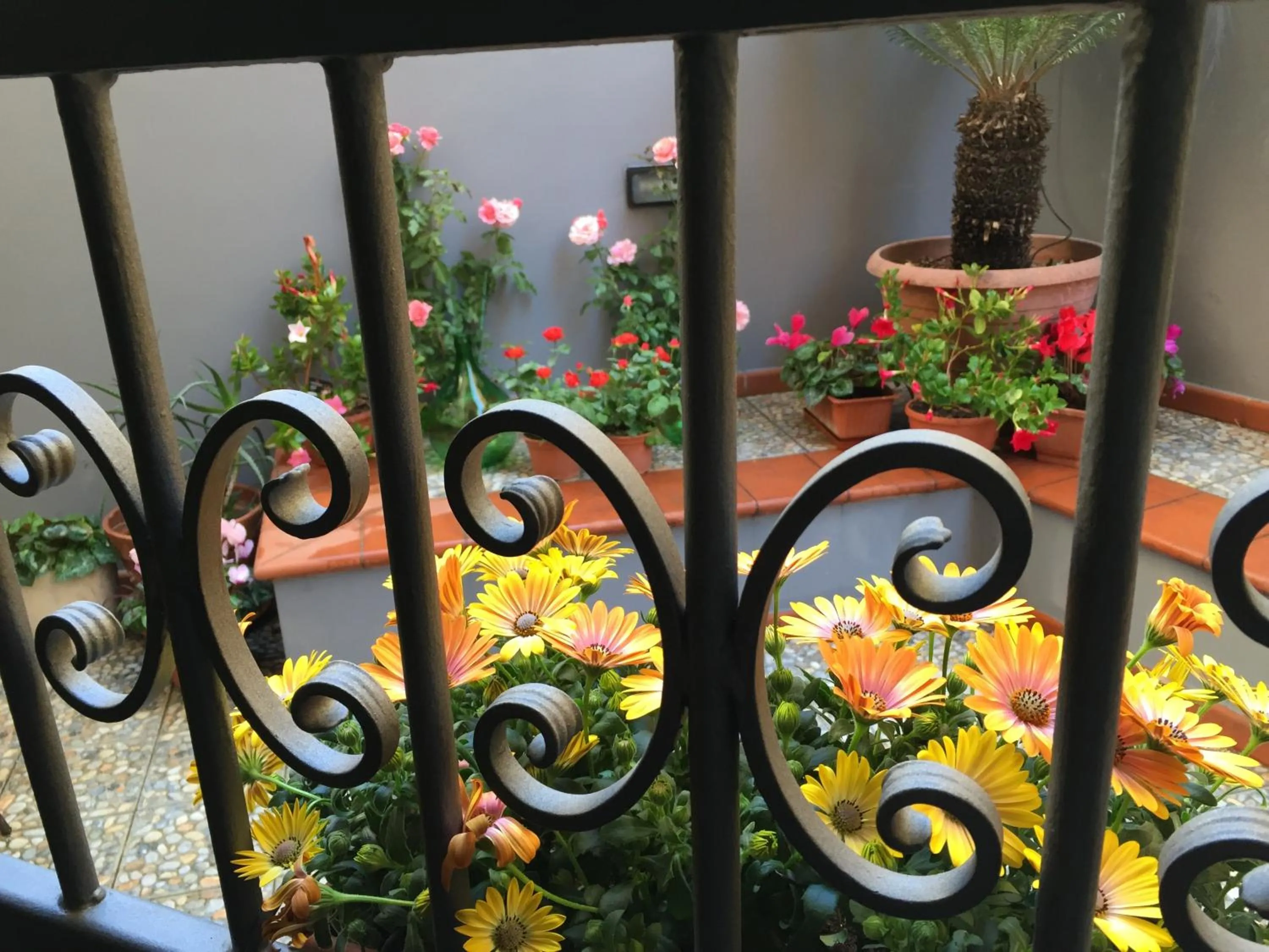 Garden view in B&B Civico Cinque