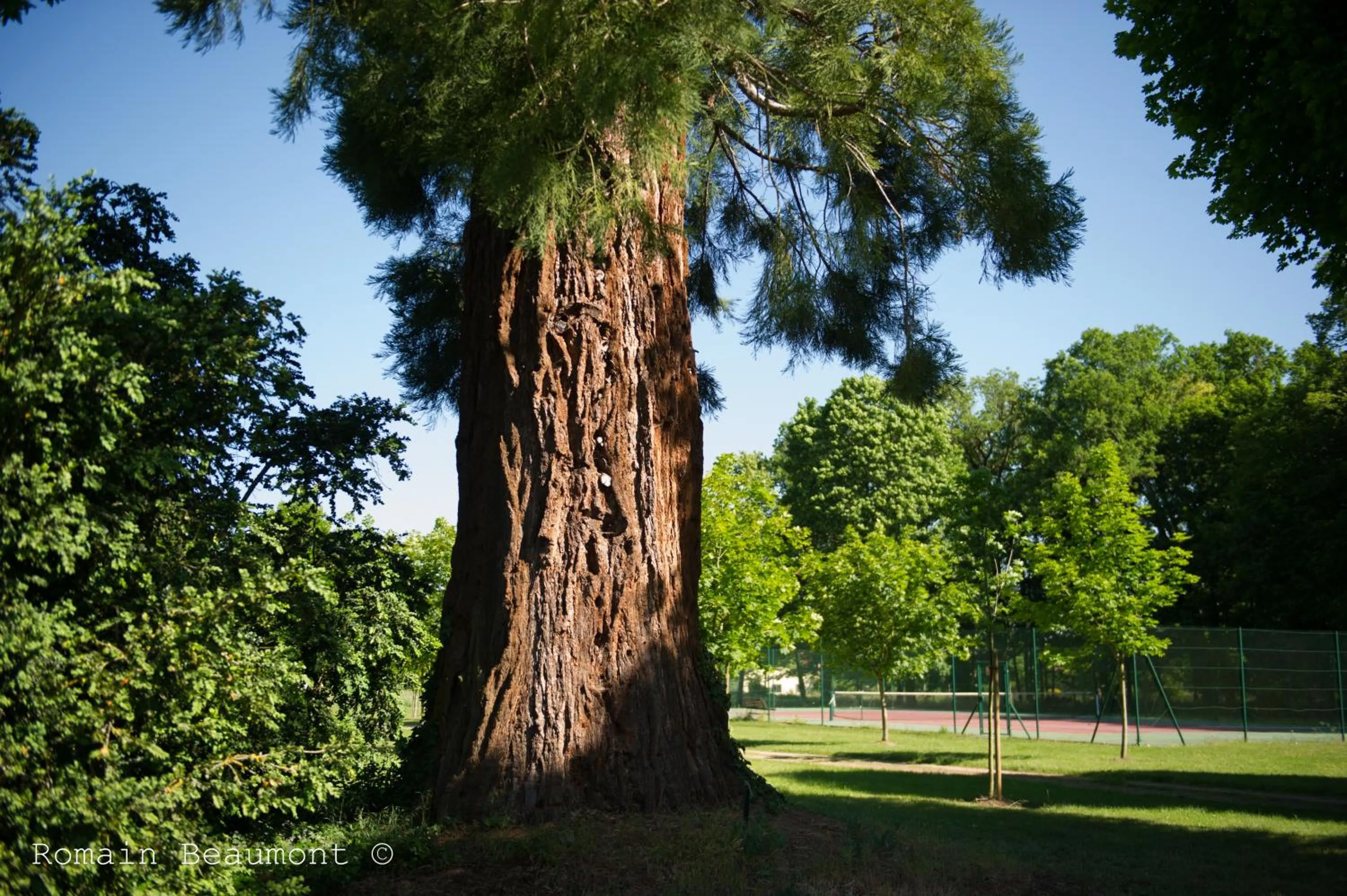 Property building in Le Domaine des Roches, Hotel & Spa