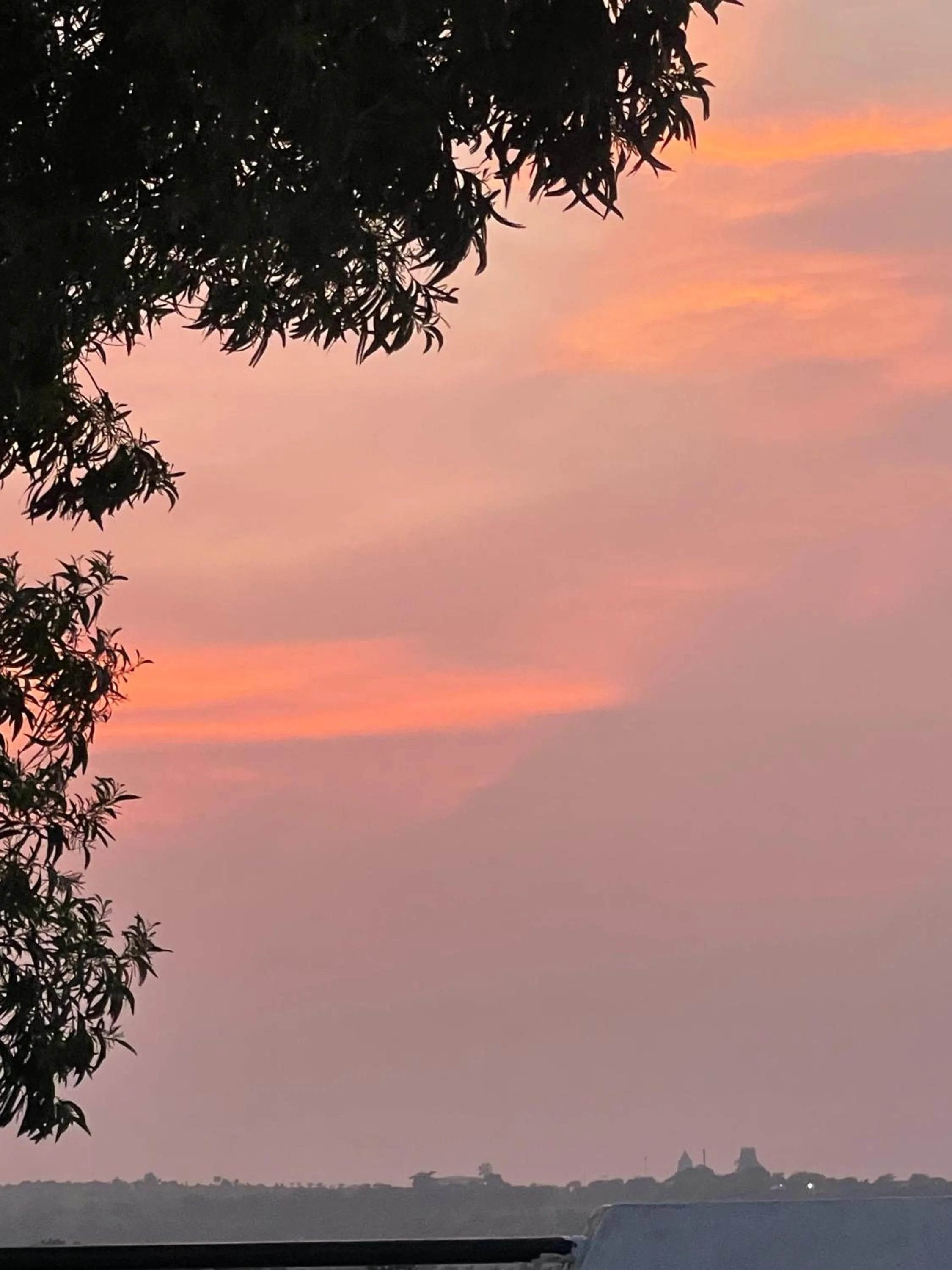 Day in Viceroy Resort