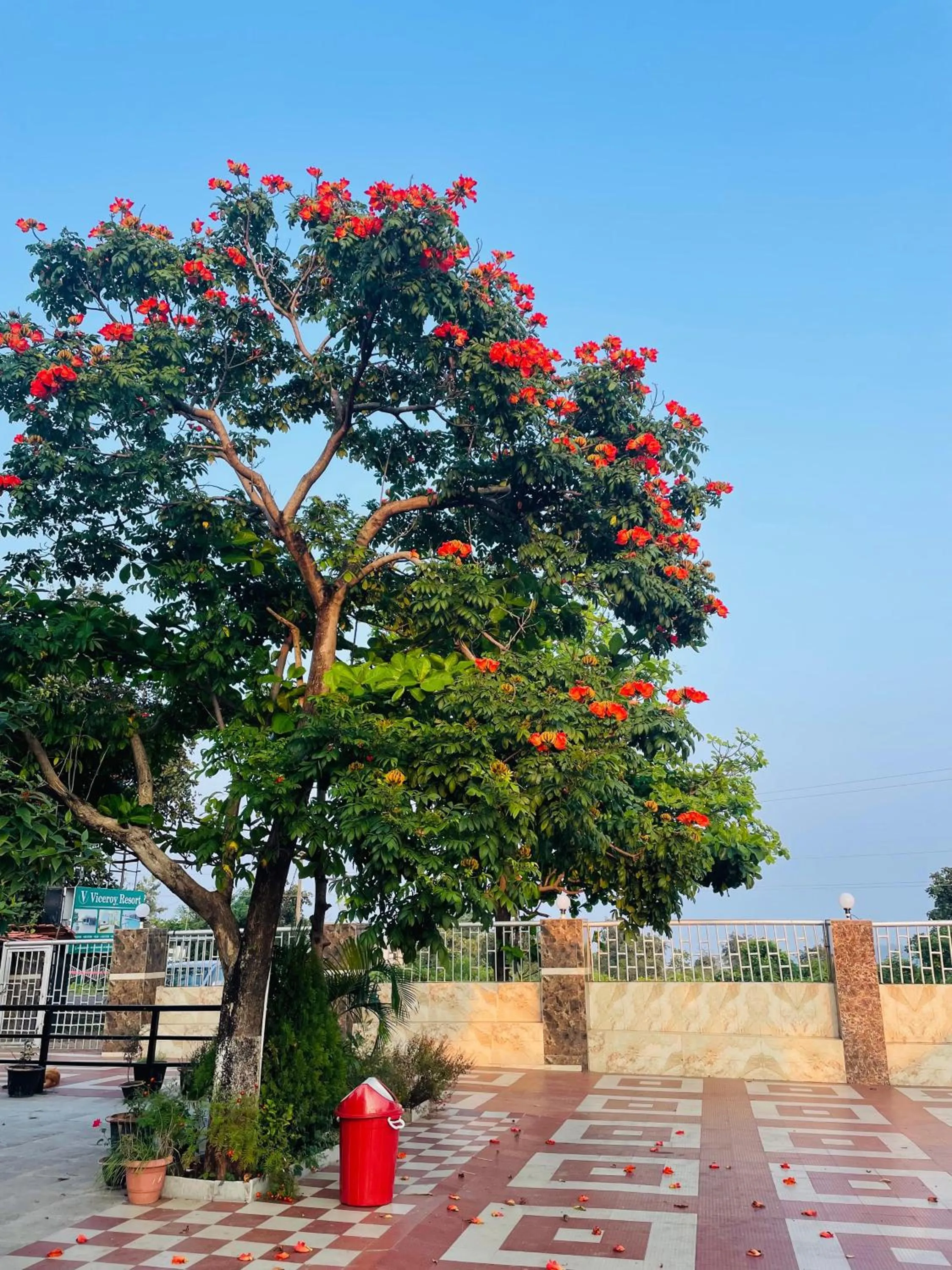 Spring in Viceroy Resort