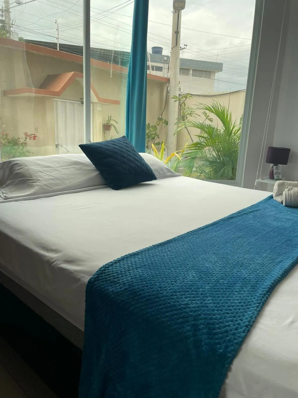 Bed in Reef Manta