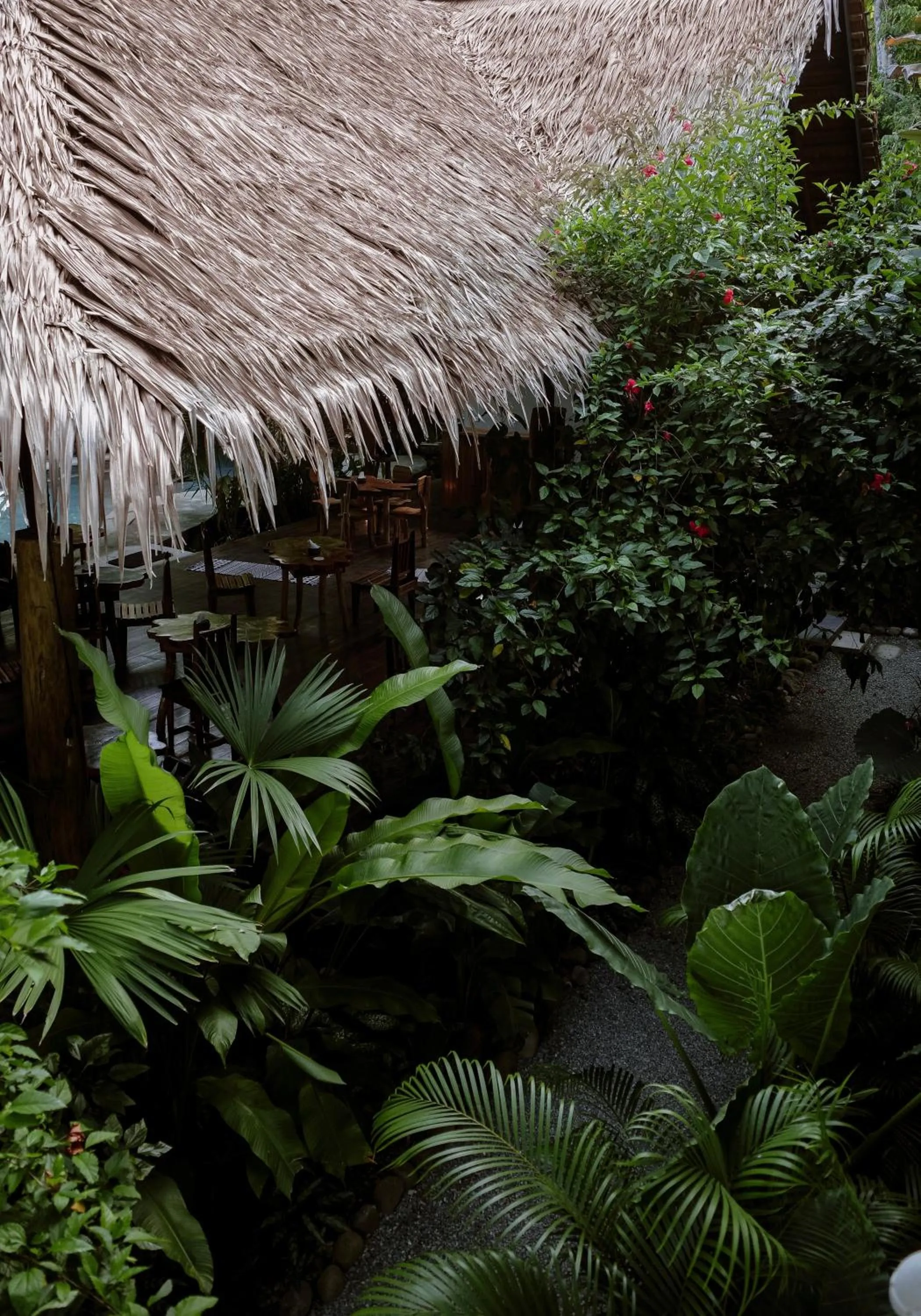 Garden view in Conga Boutique Hotel