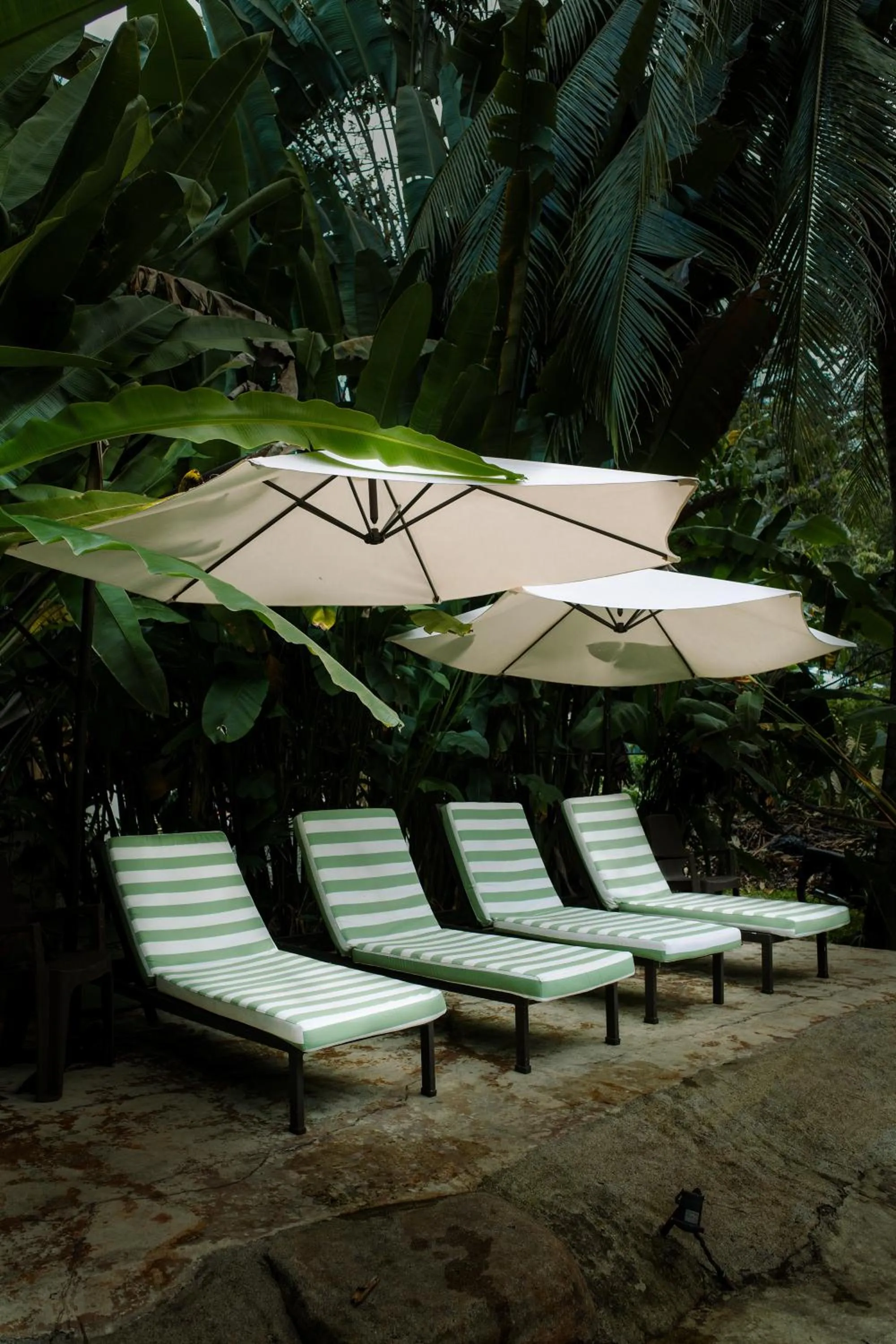 Natural landscape in Conga Boutique Hotel