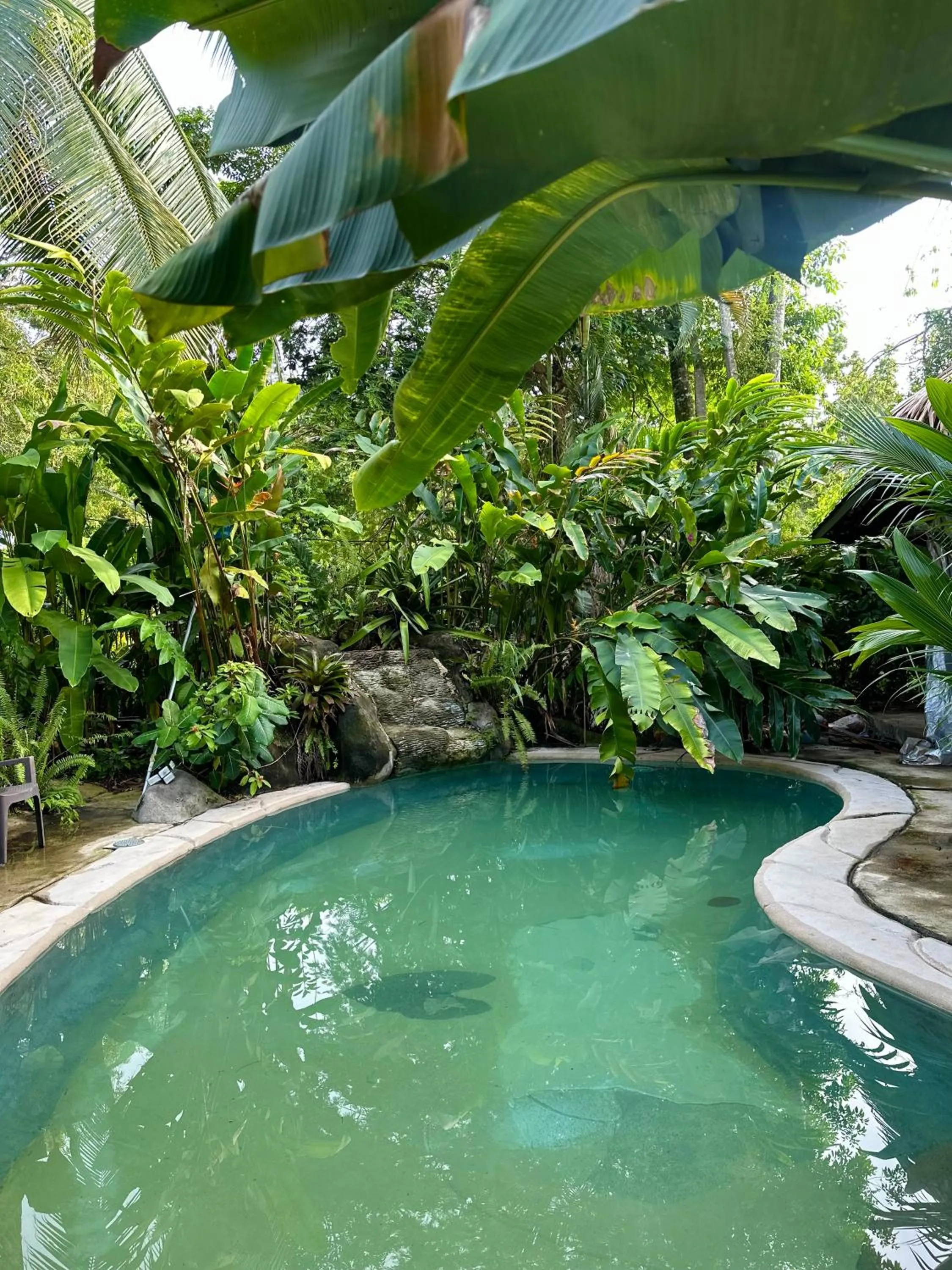 Day in Conga Boutique Hotel