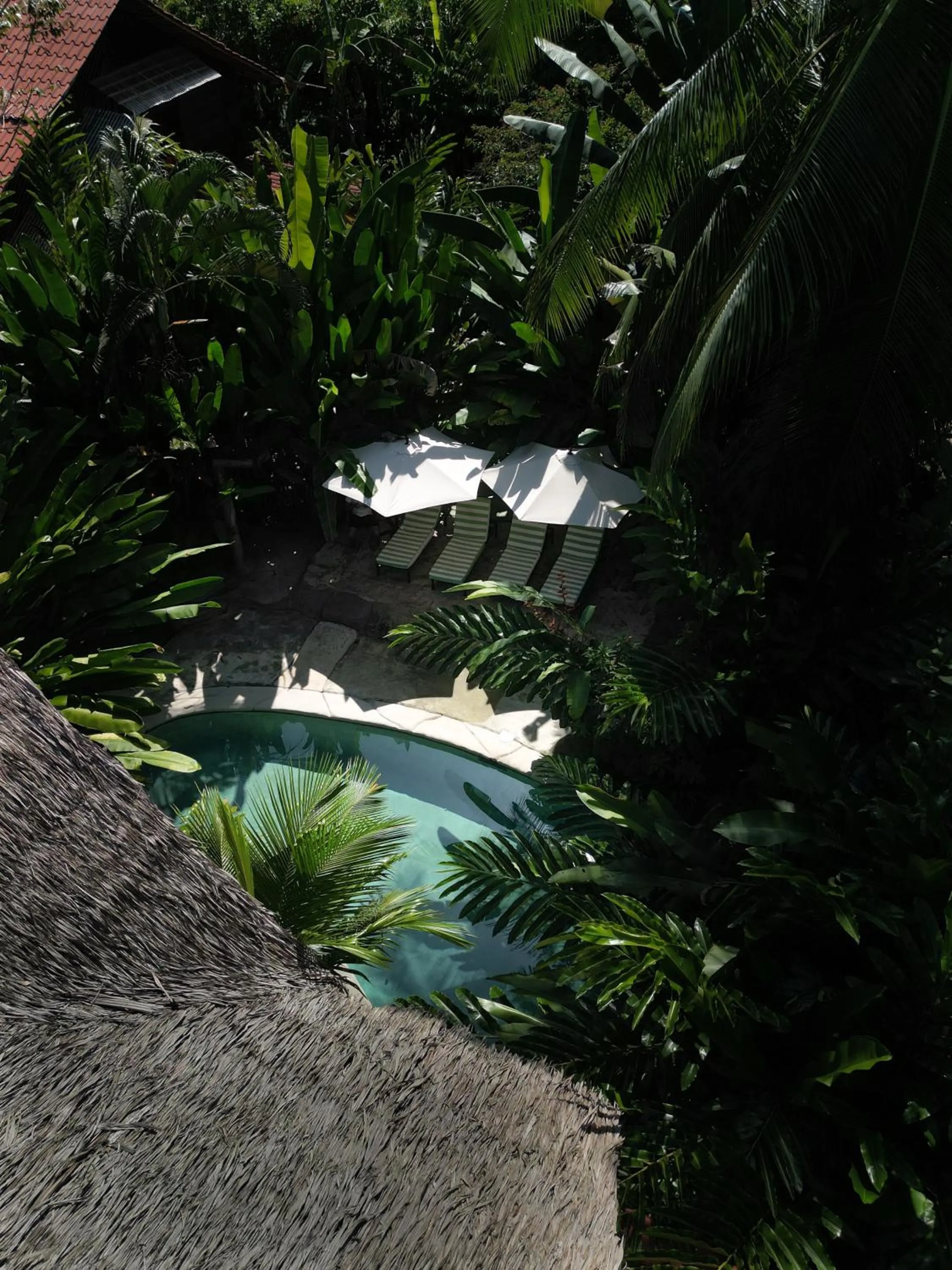 Natural landscape in Conga Boutique Hotel