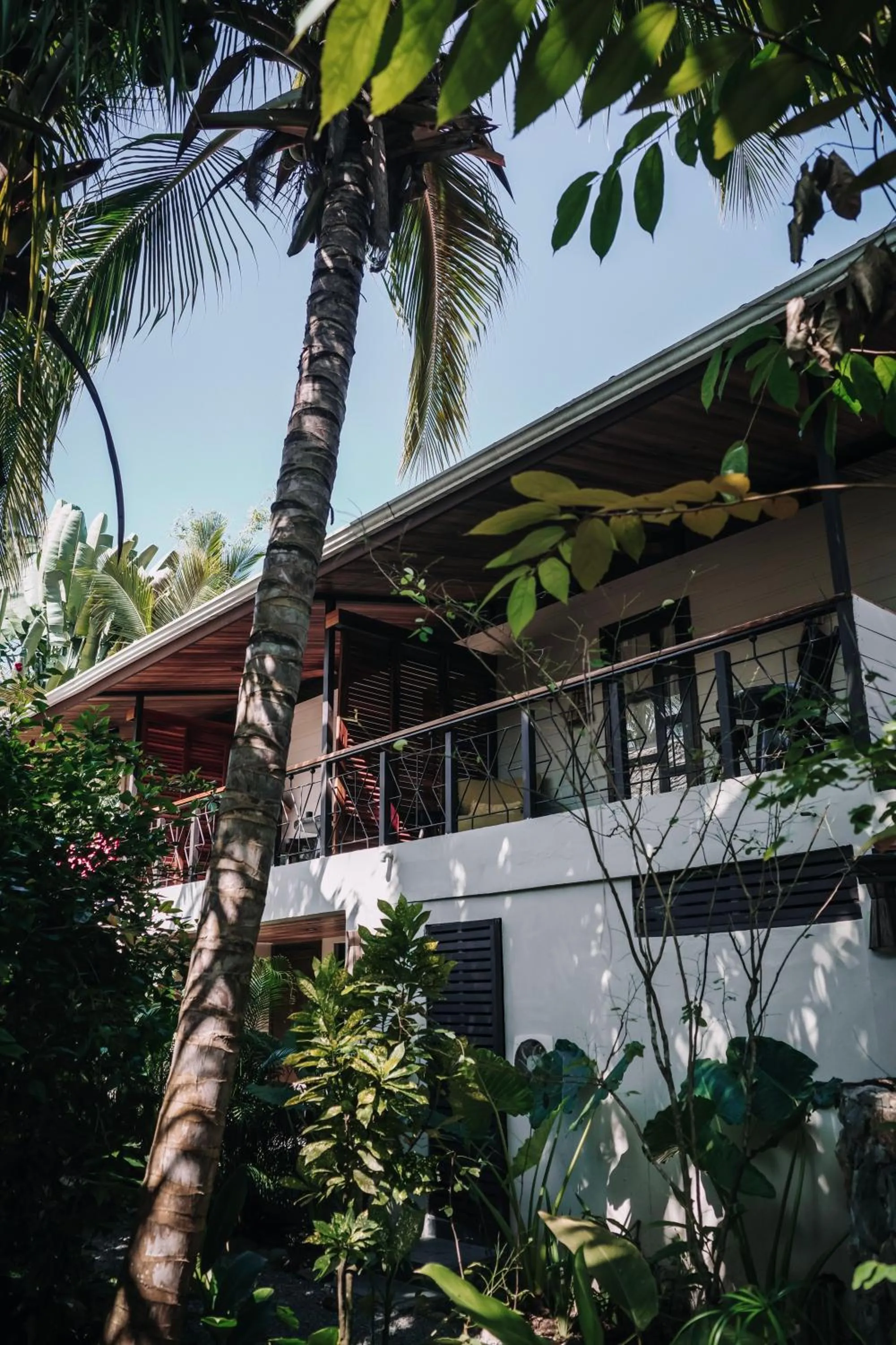 Property building in Conga Boutique Hotel