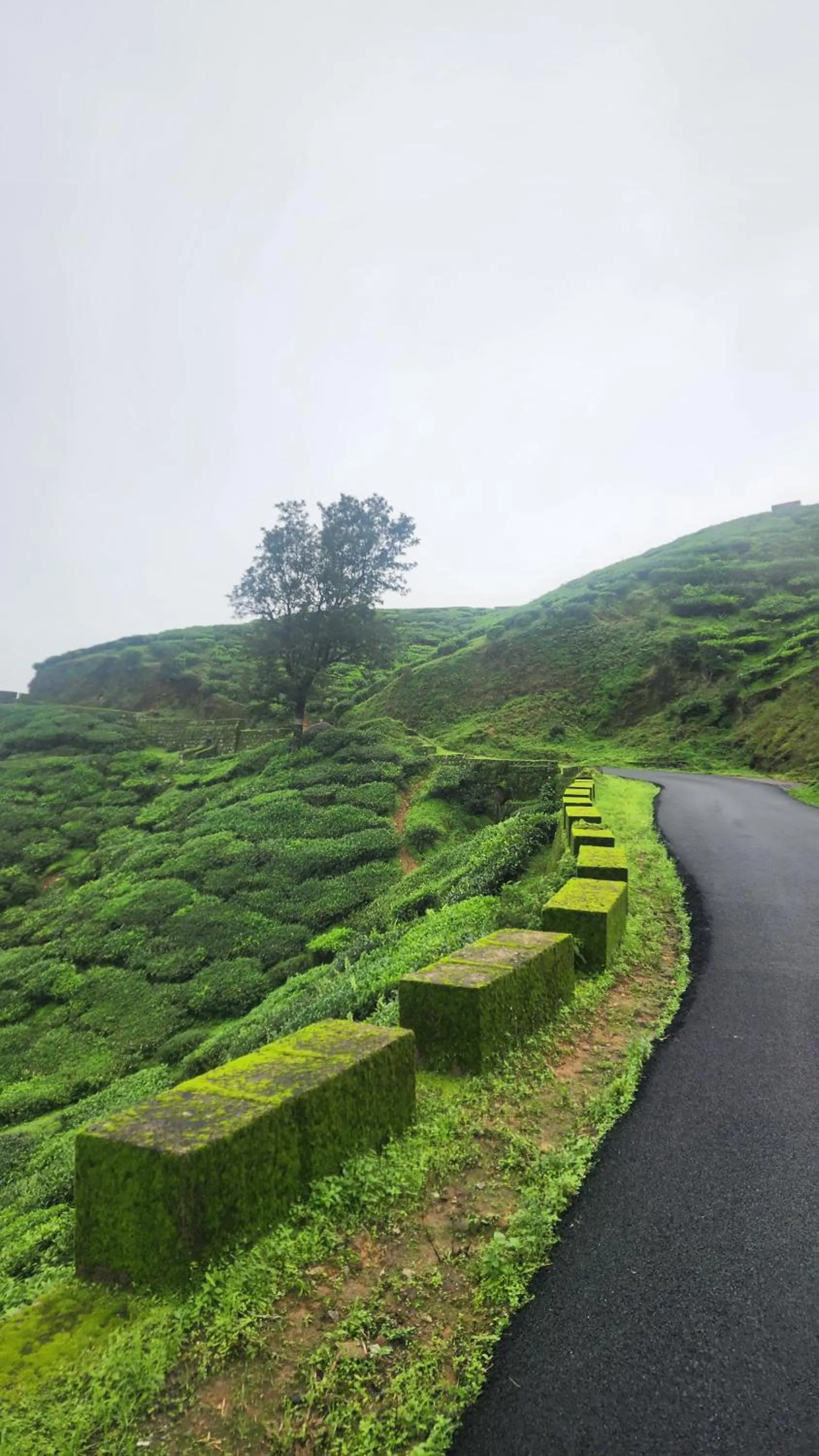 Nearby landmark in Ibex Resorts, Valparai Mistly