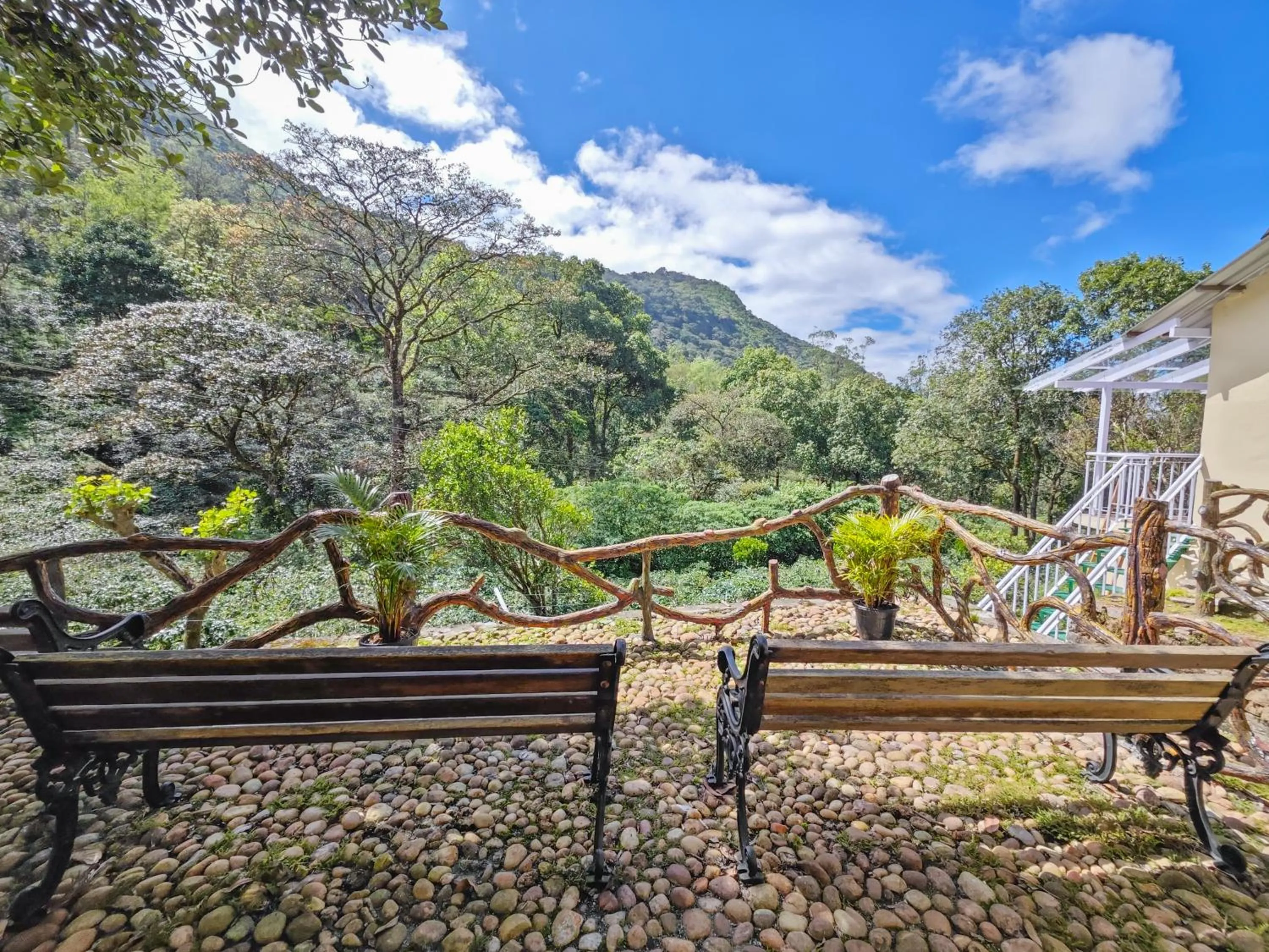 Natural landscape in Ibex Resorts, Valparai Mistly