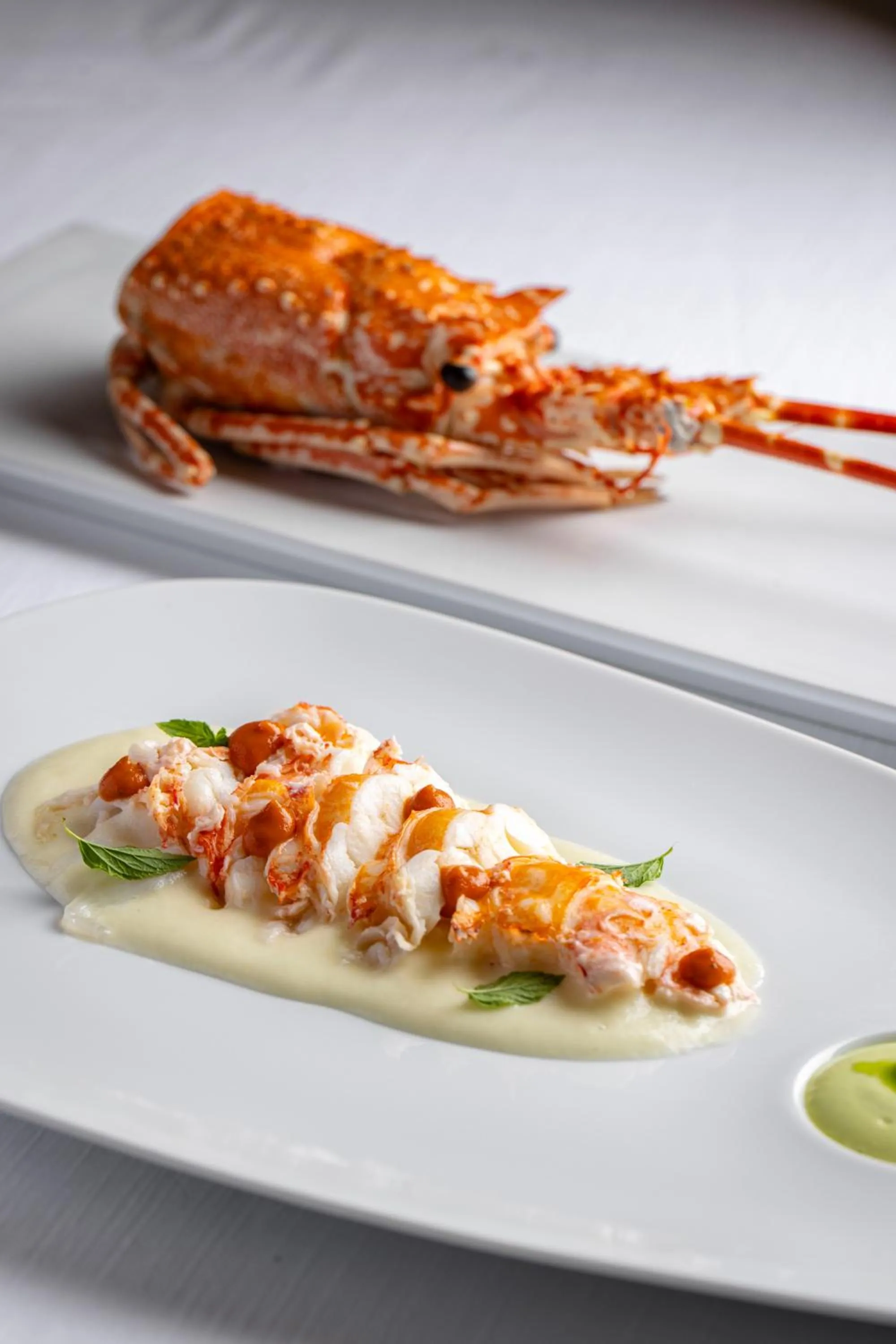 Dinner in Dome Hotel