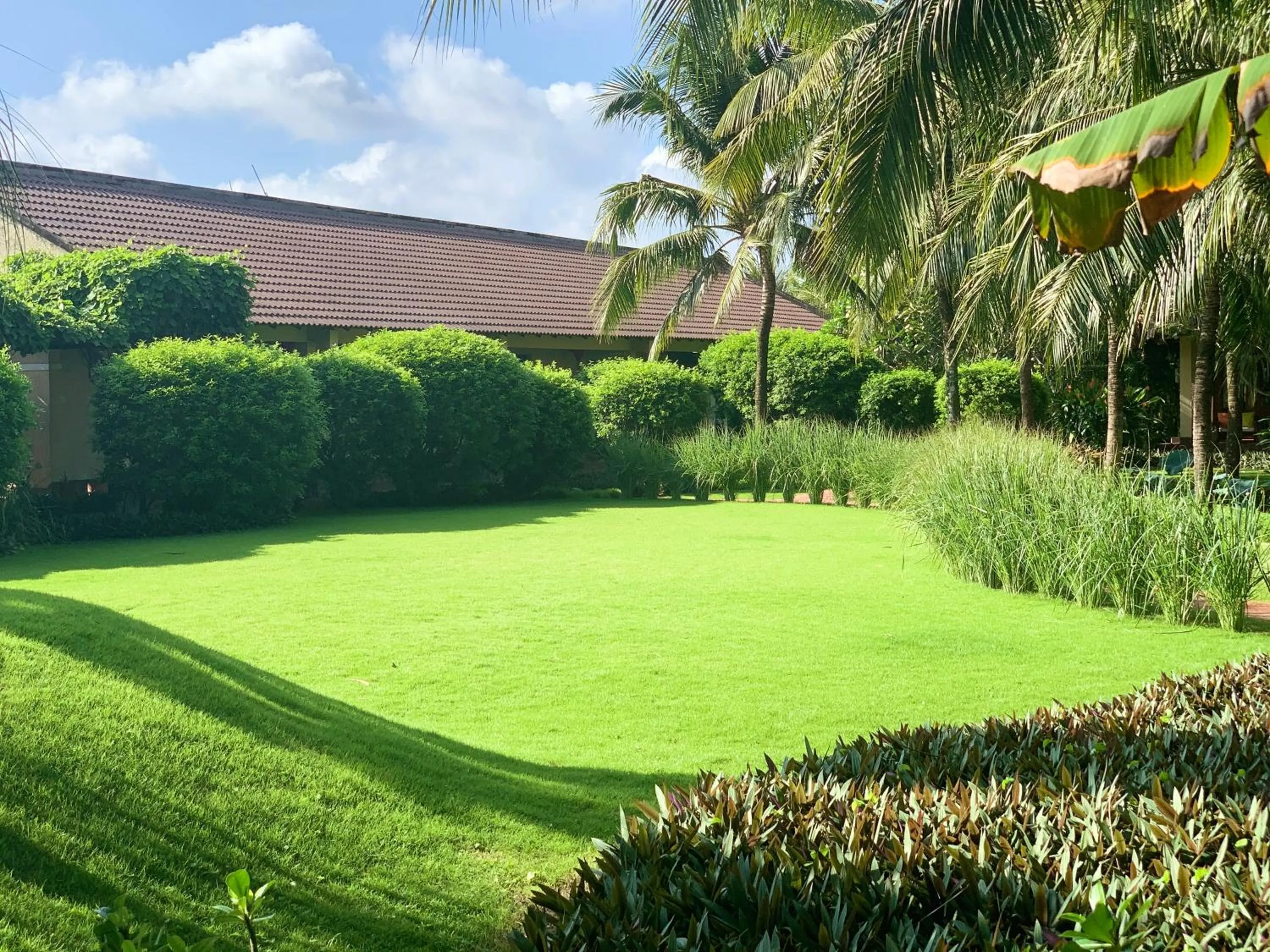 Garden in The Island Lodge