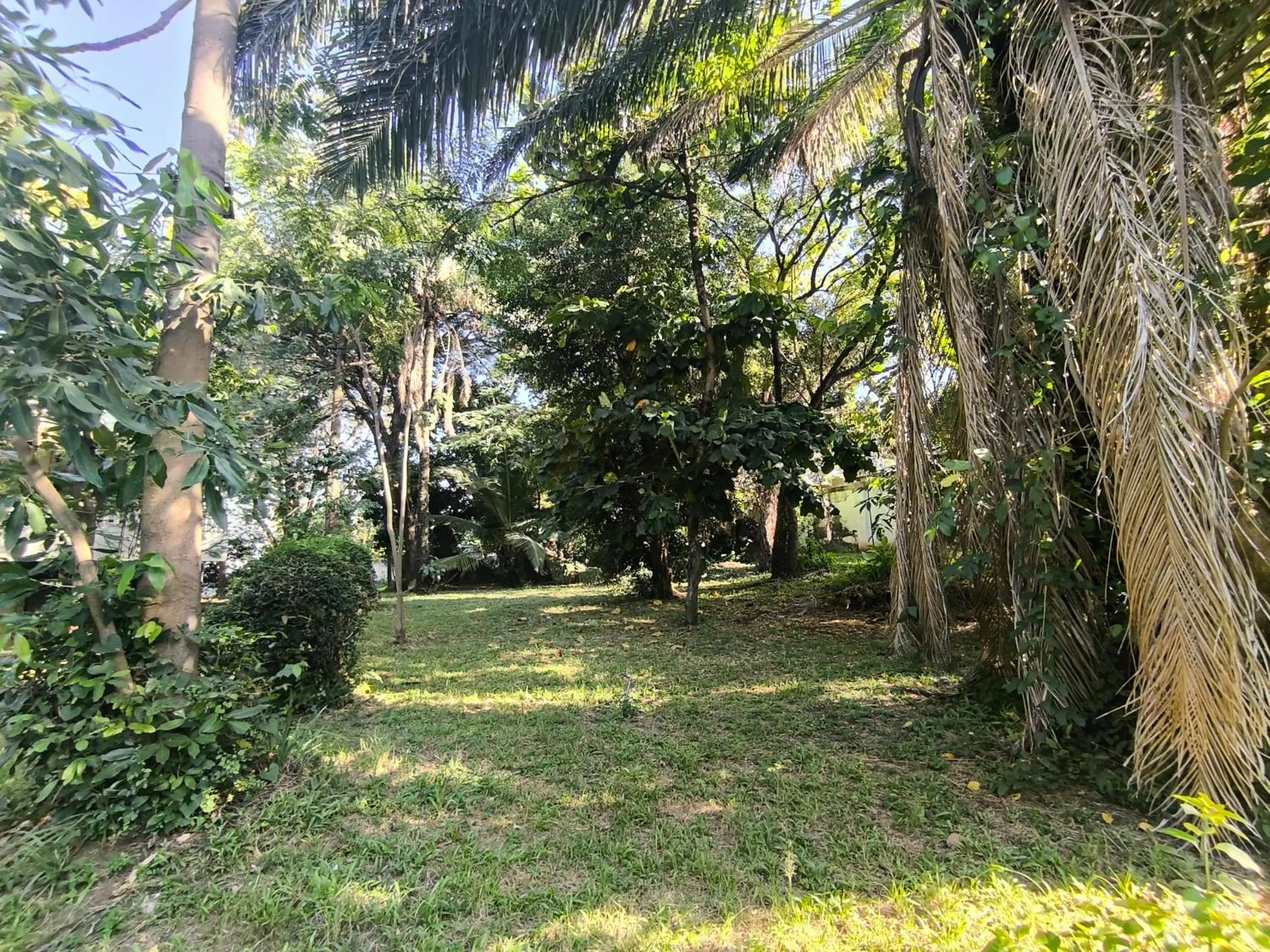 Natural landscape in Olivia Guesthouse