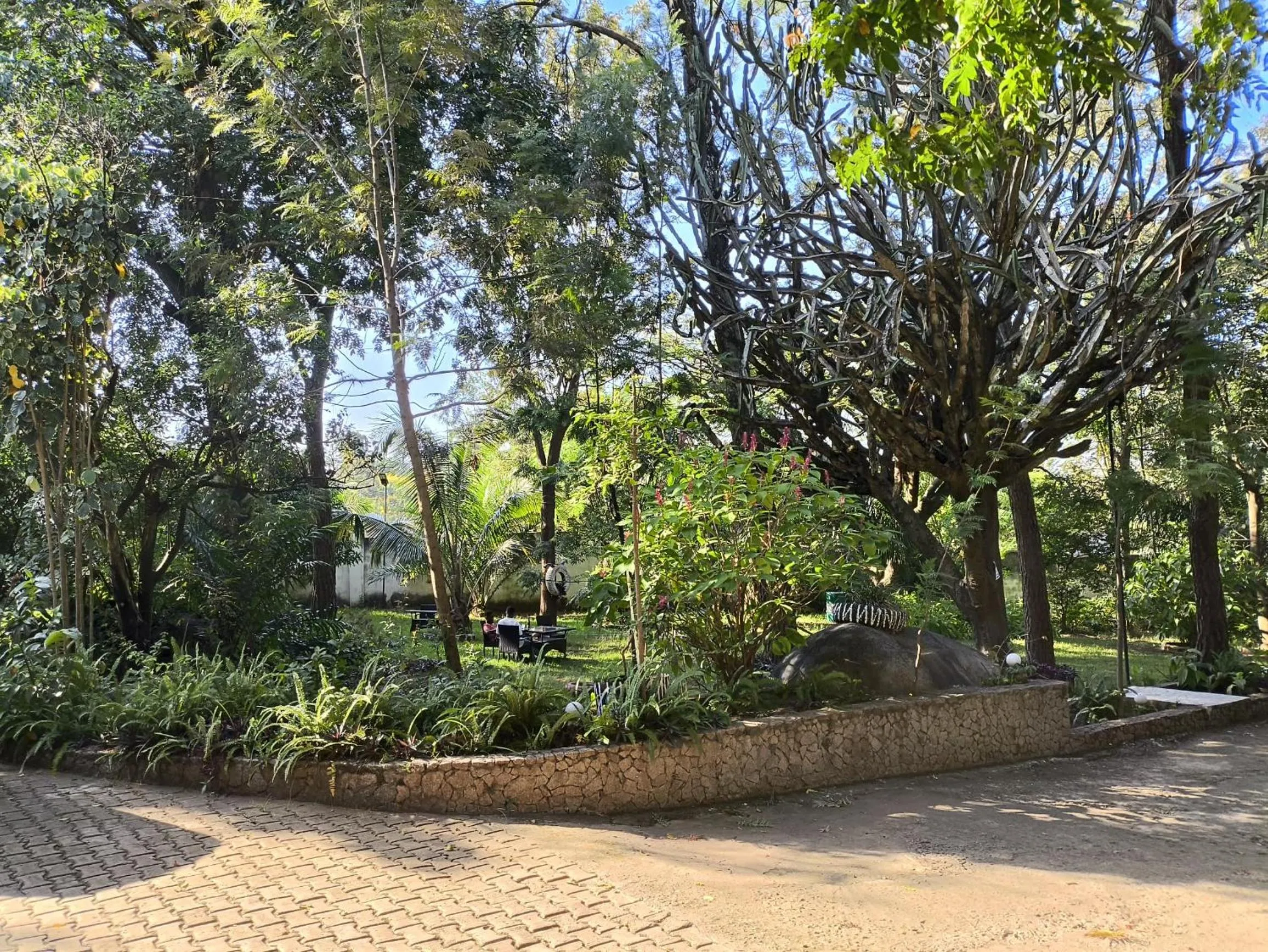 Garden in Olivia Guesthouse