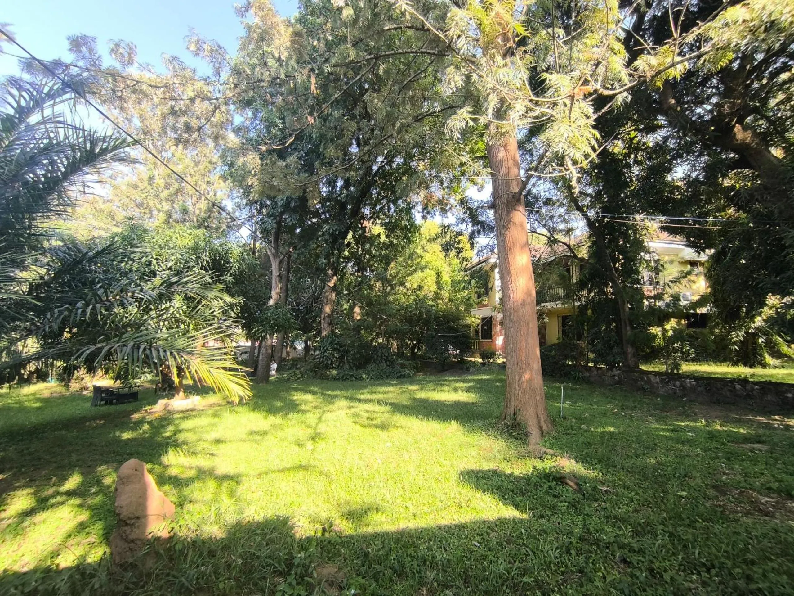 Garden view in Olivia Guesthouse