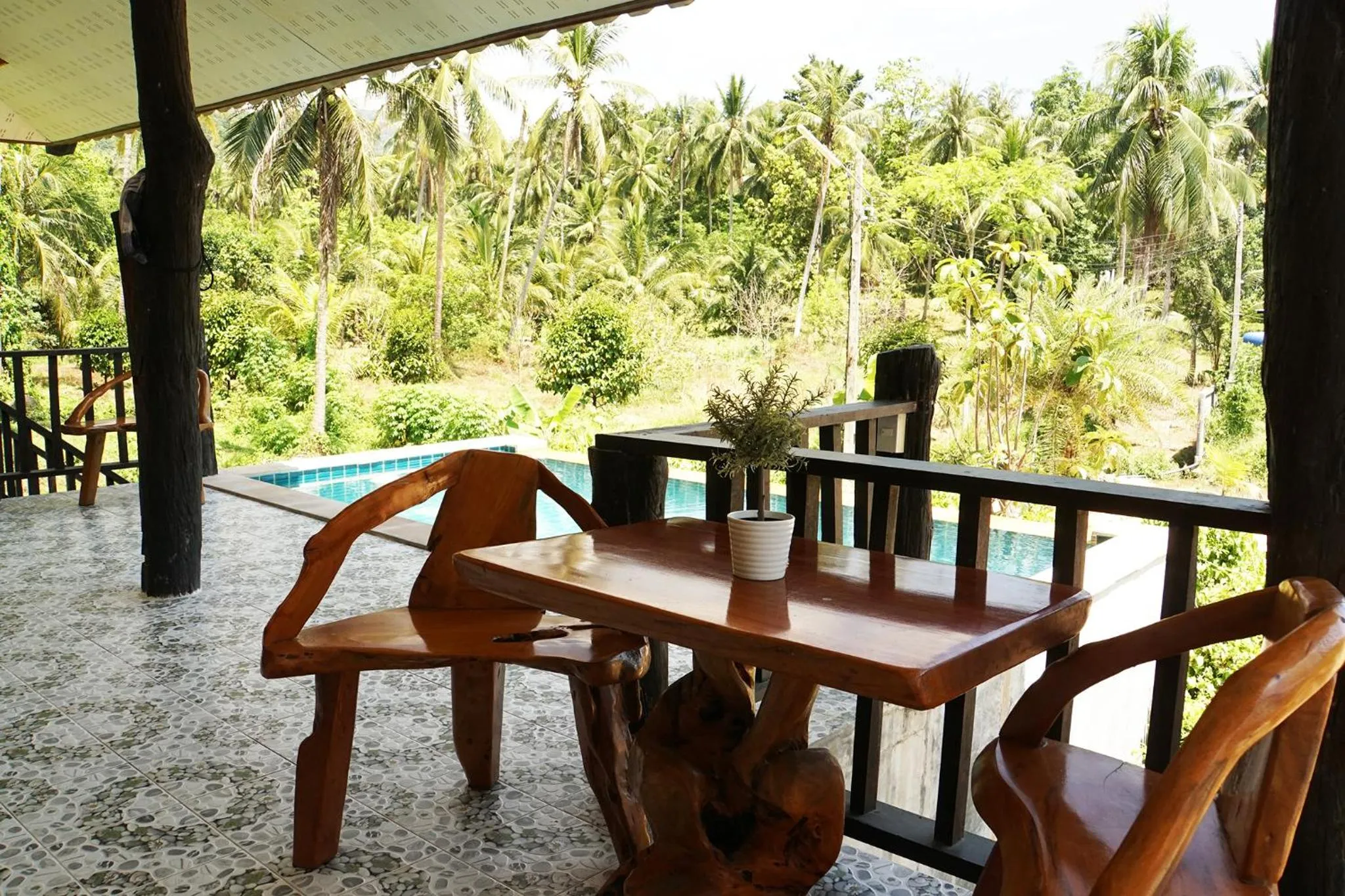 Wonderland Healing Center