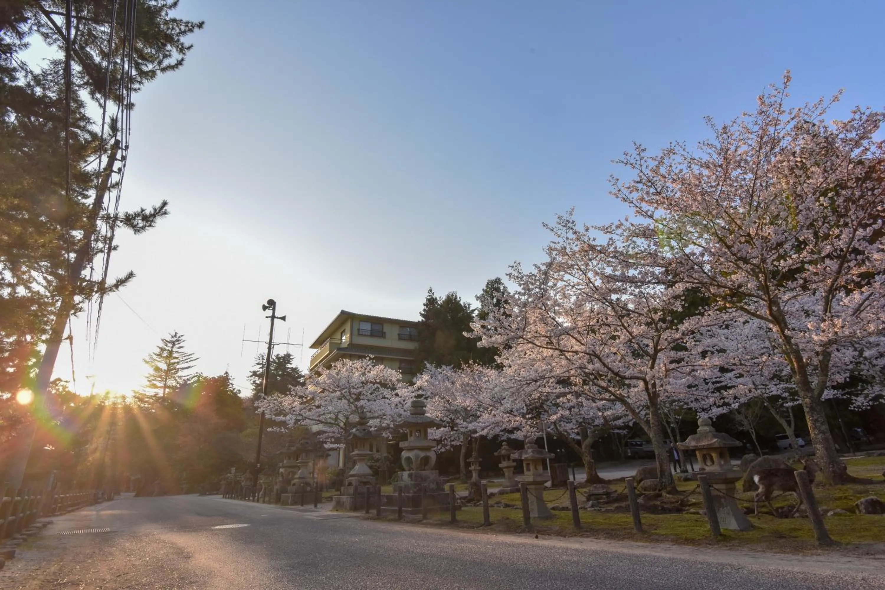 Property building in Miyajima Morinoyado