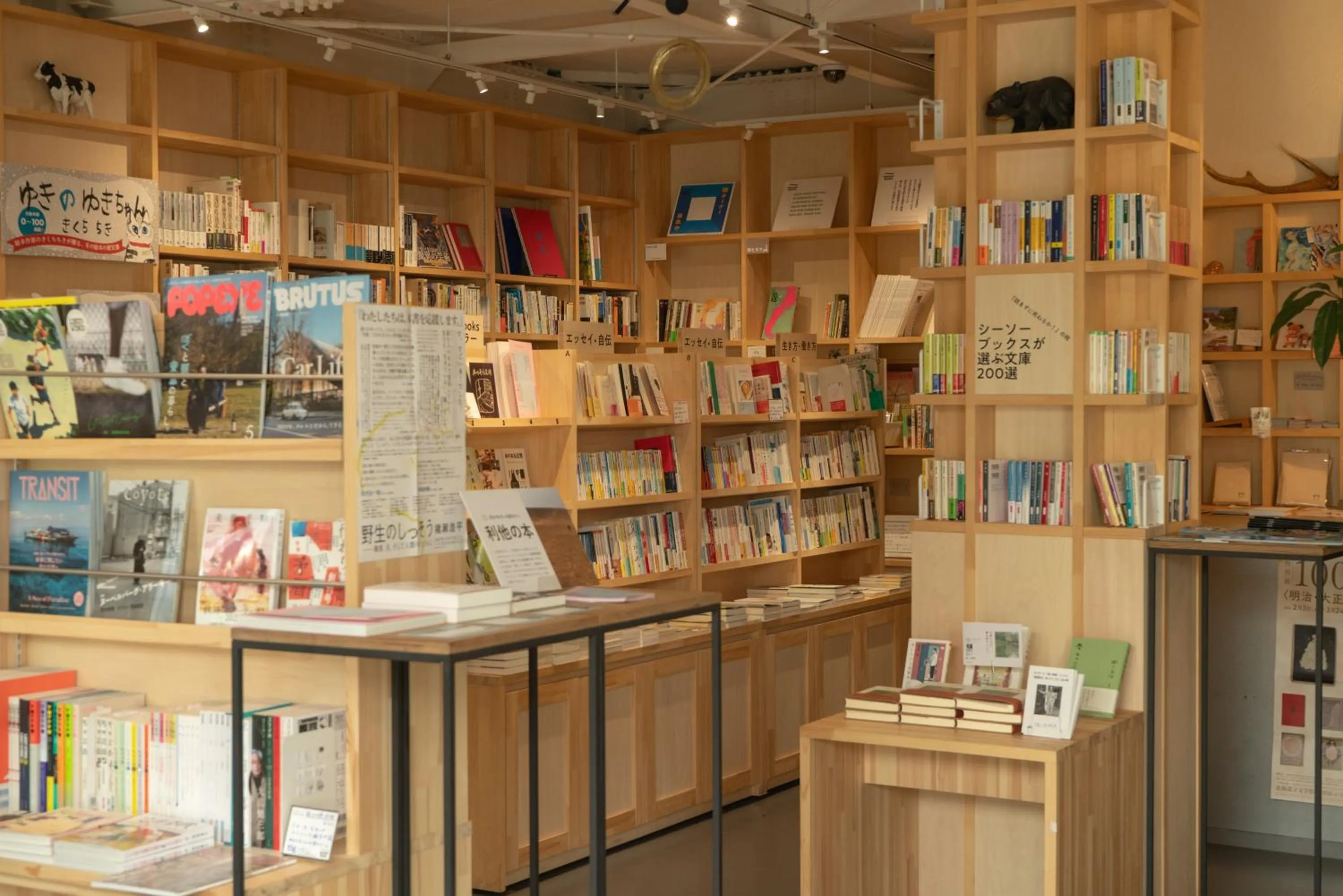 Area and facilities in Untapped Hostel