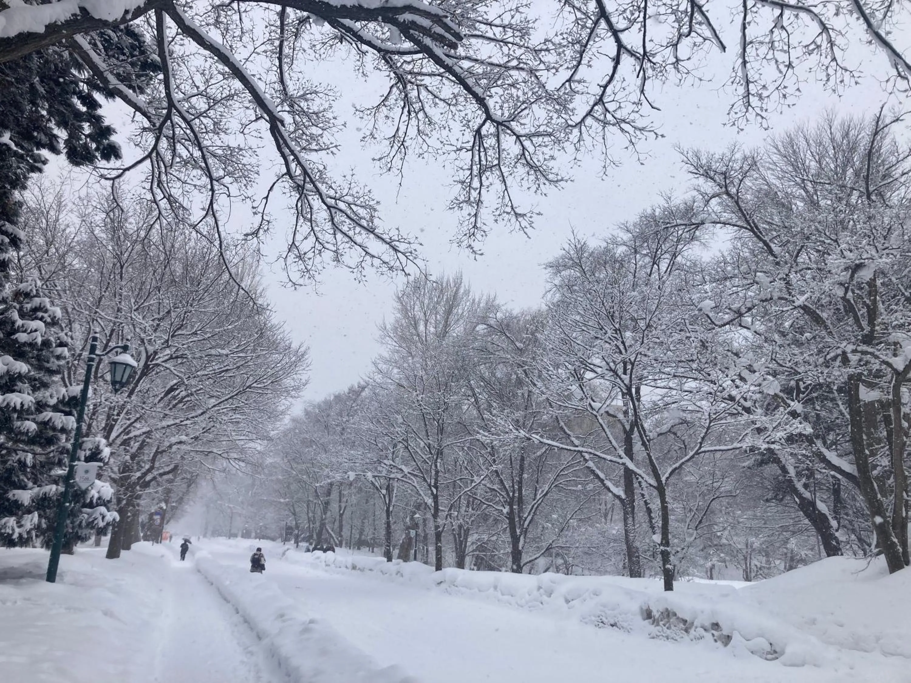 Nearby landmark in Untapped Hostel