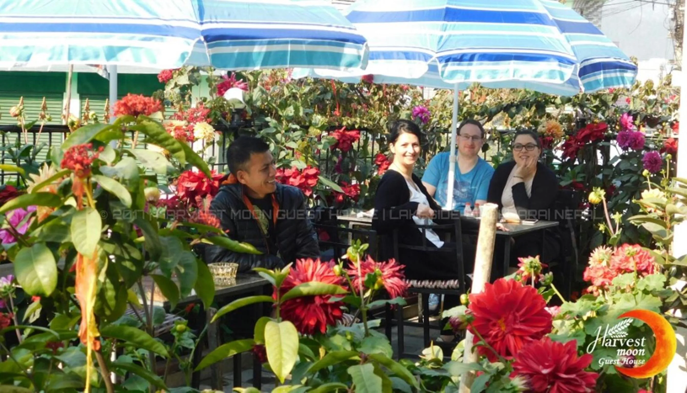 Garden in Harvest Moon Guest House