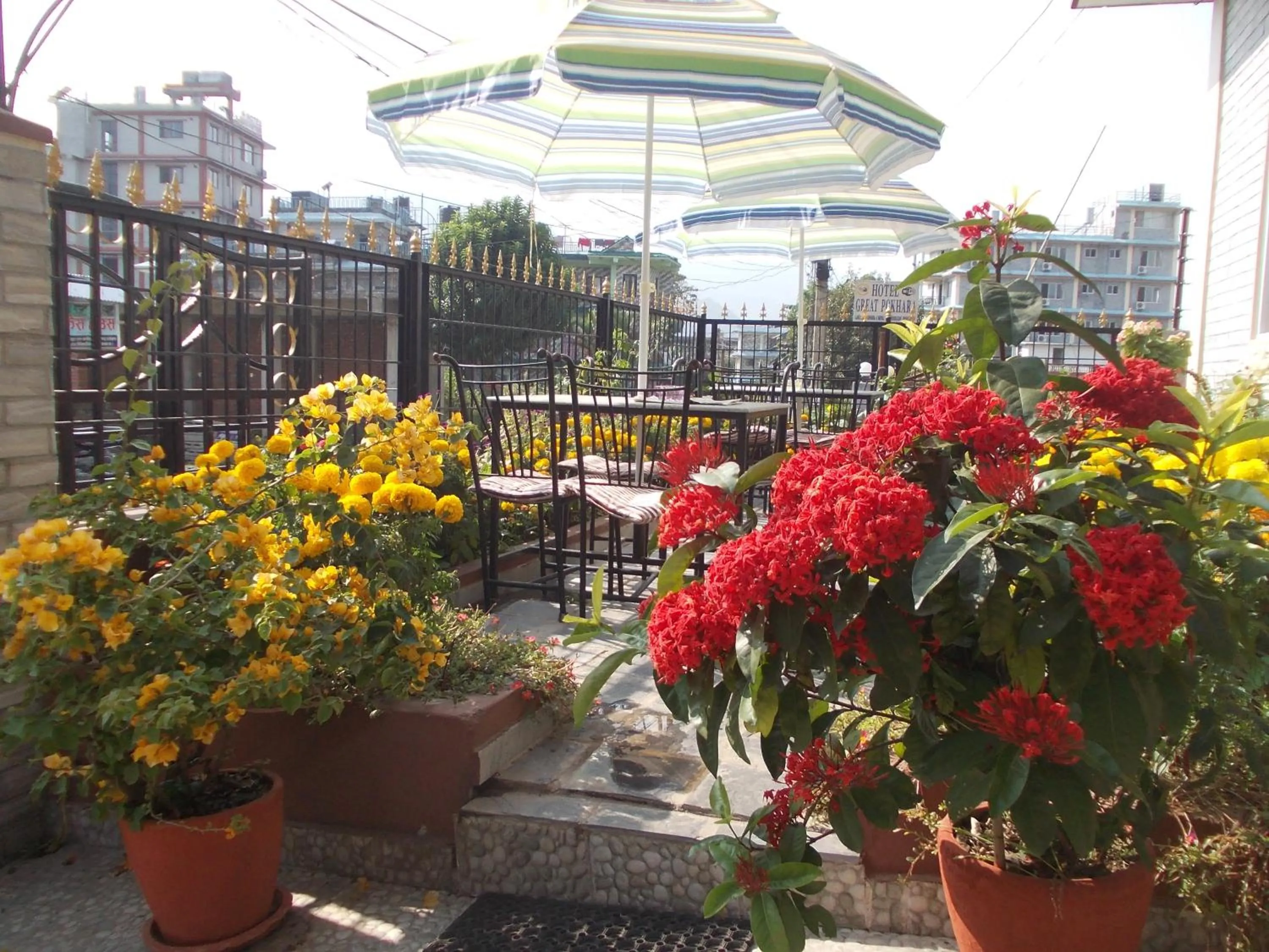 Restaurant/places to eat in Harvest Moon Guest House