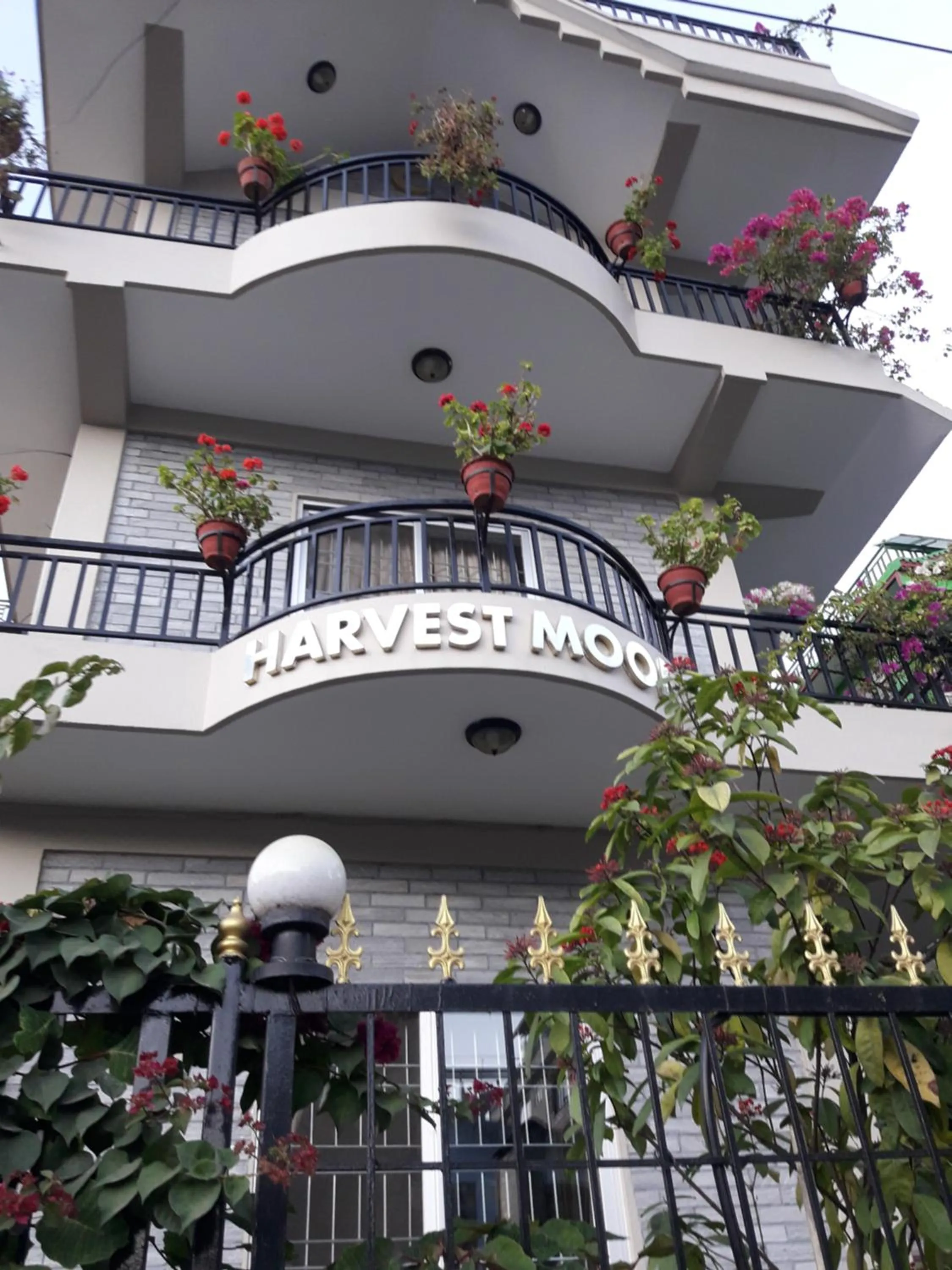 Harvest Moon Guest House