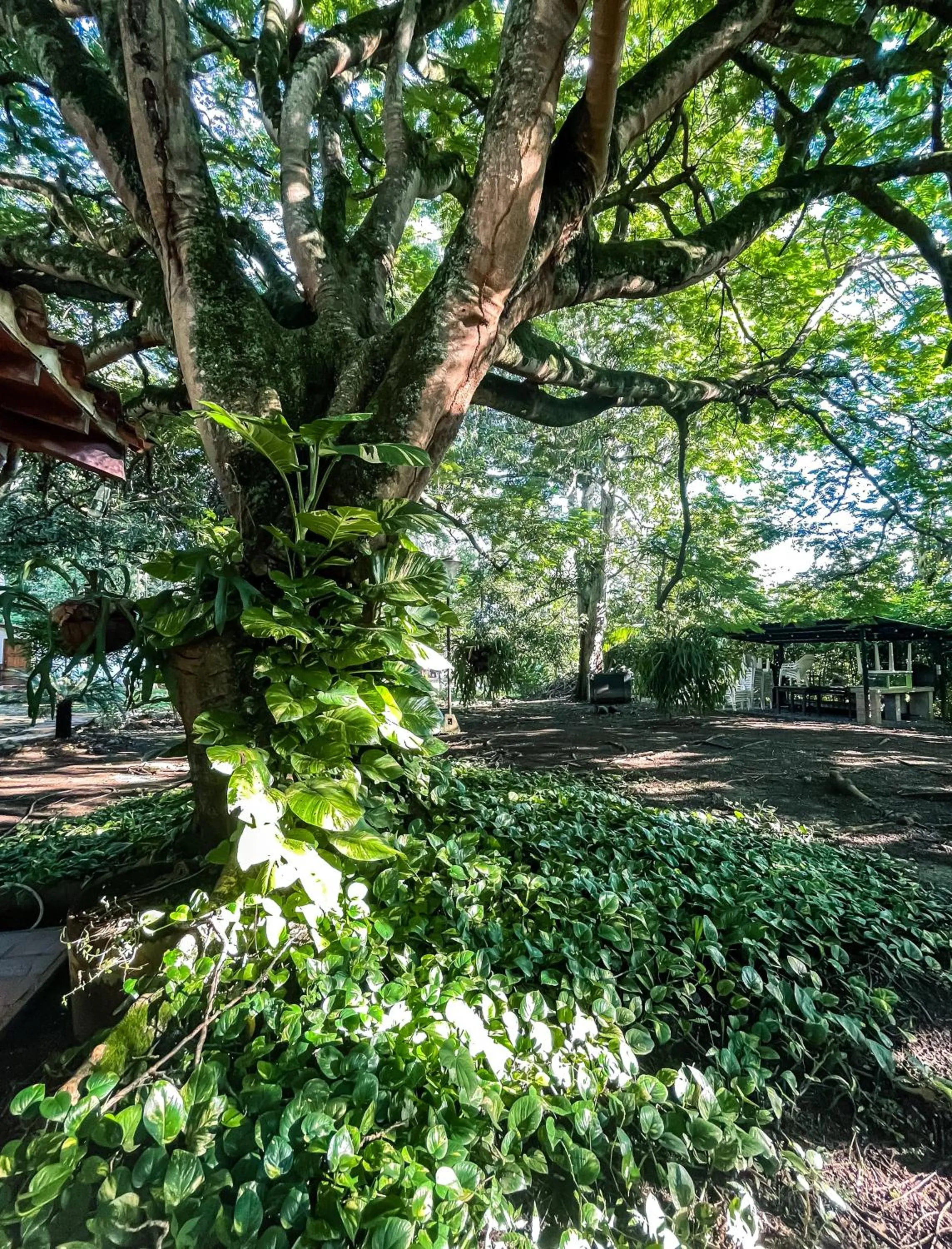 Finca Hotel La Estancia