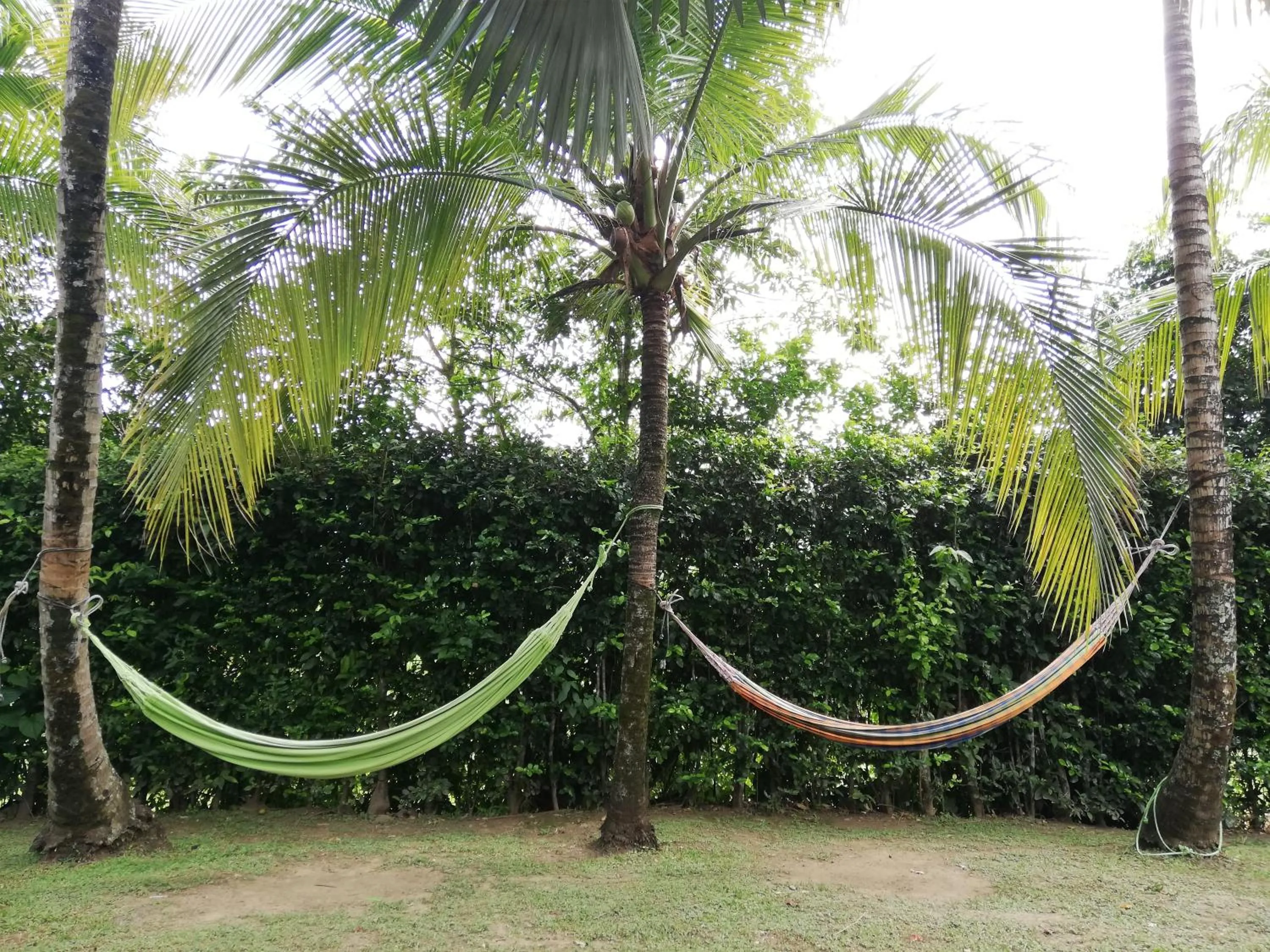 Garden in Finca Hotel La Estancia