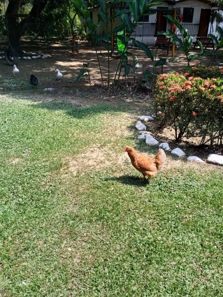 Finca Hotel La Estancia