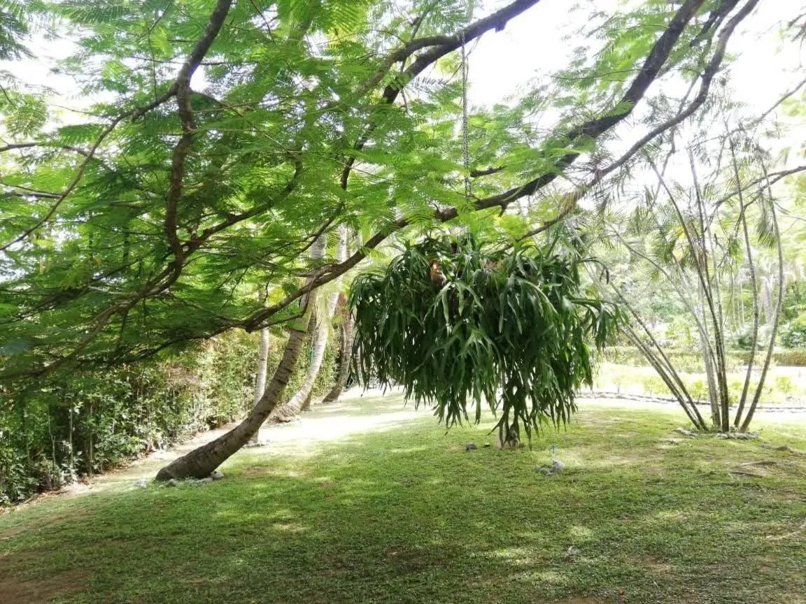 Natural landscape in Finca Hotel La Estancia