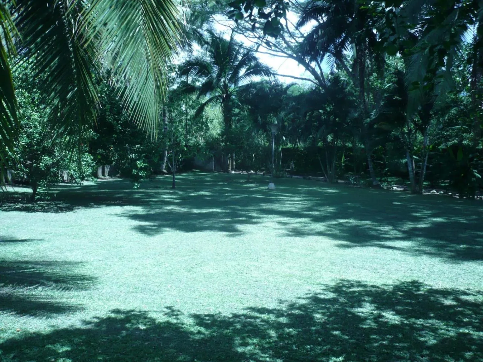 Natural landscape in Finca Hotel La Estancia