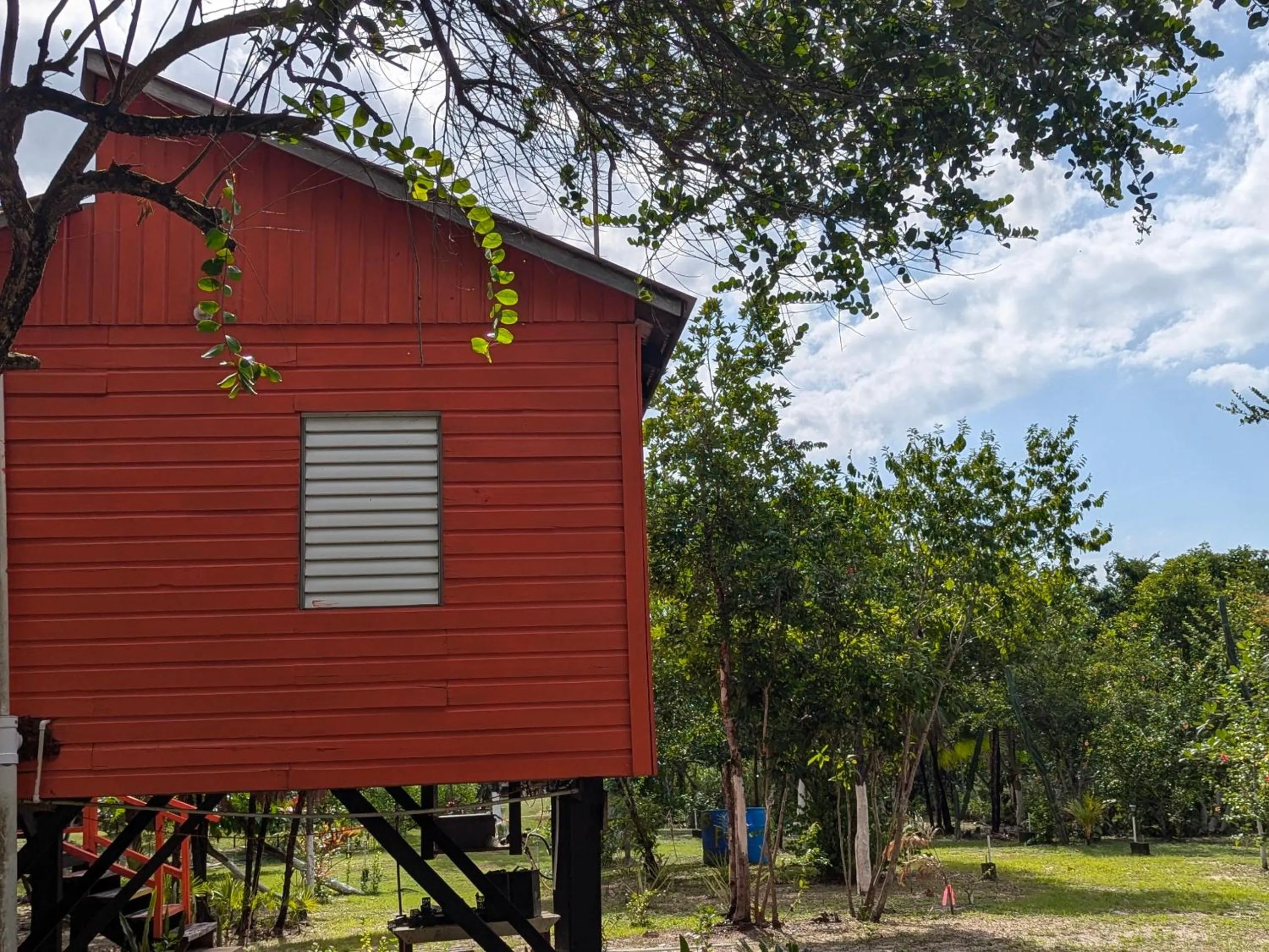 View (from property/room) in Palmento Grove Garifuna Eco-Cultural & Healing Institute