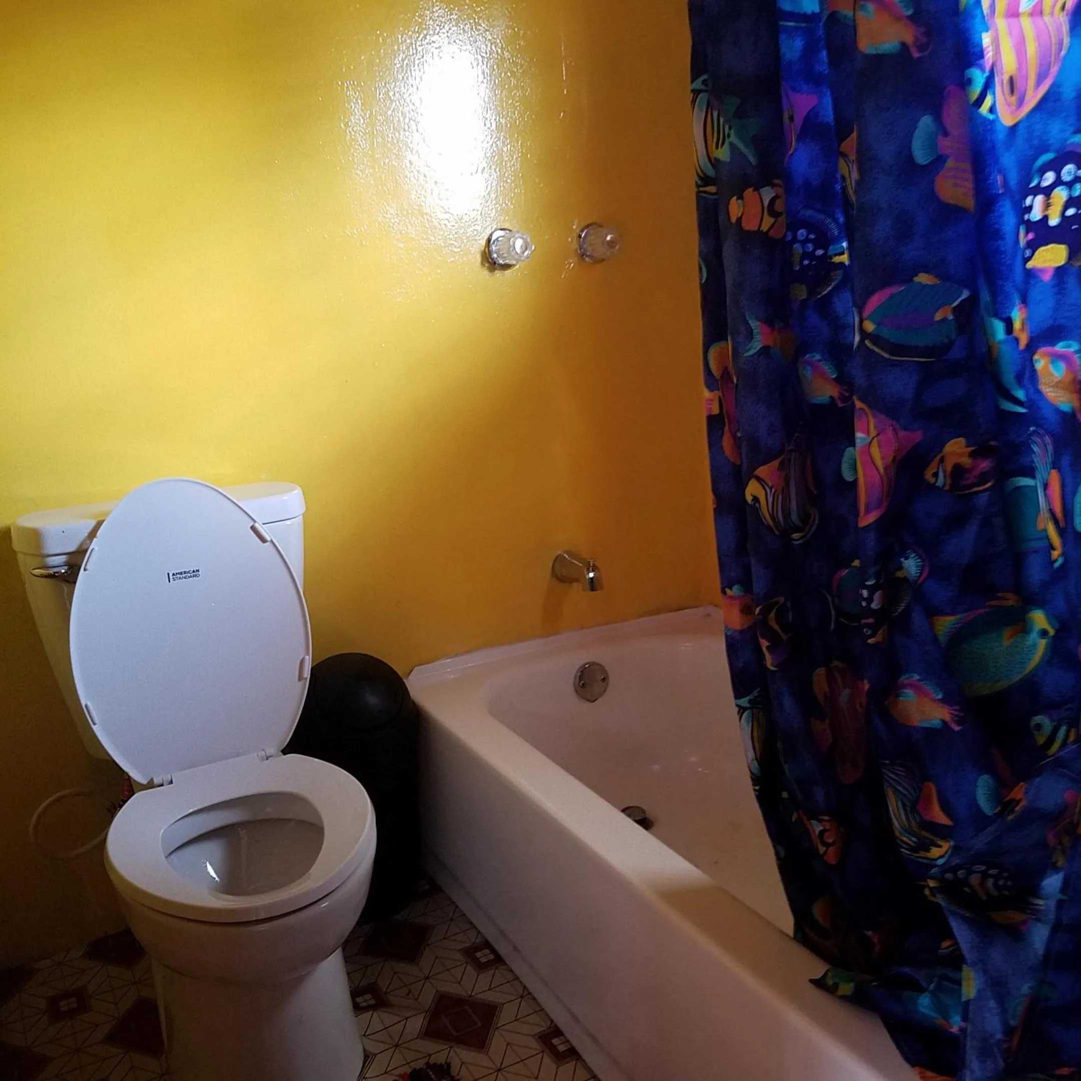 Toilet in Palmento Grove Garifuna Eco-Cultural & Healing Institute