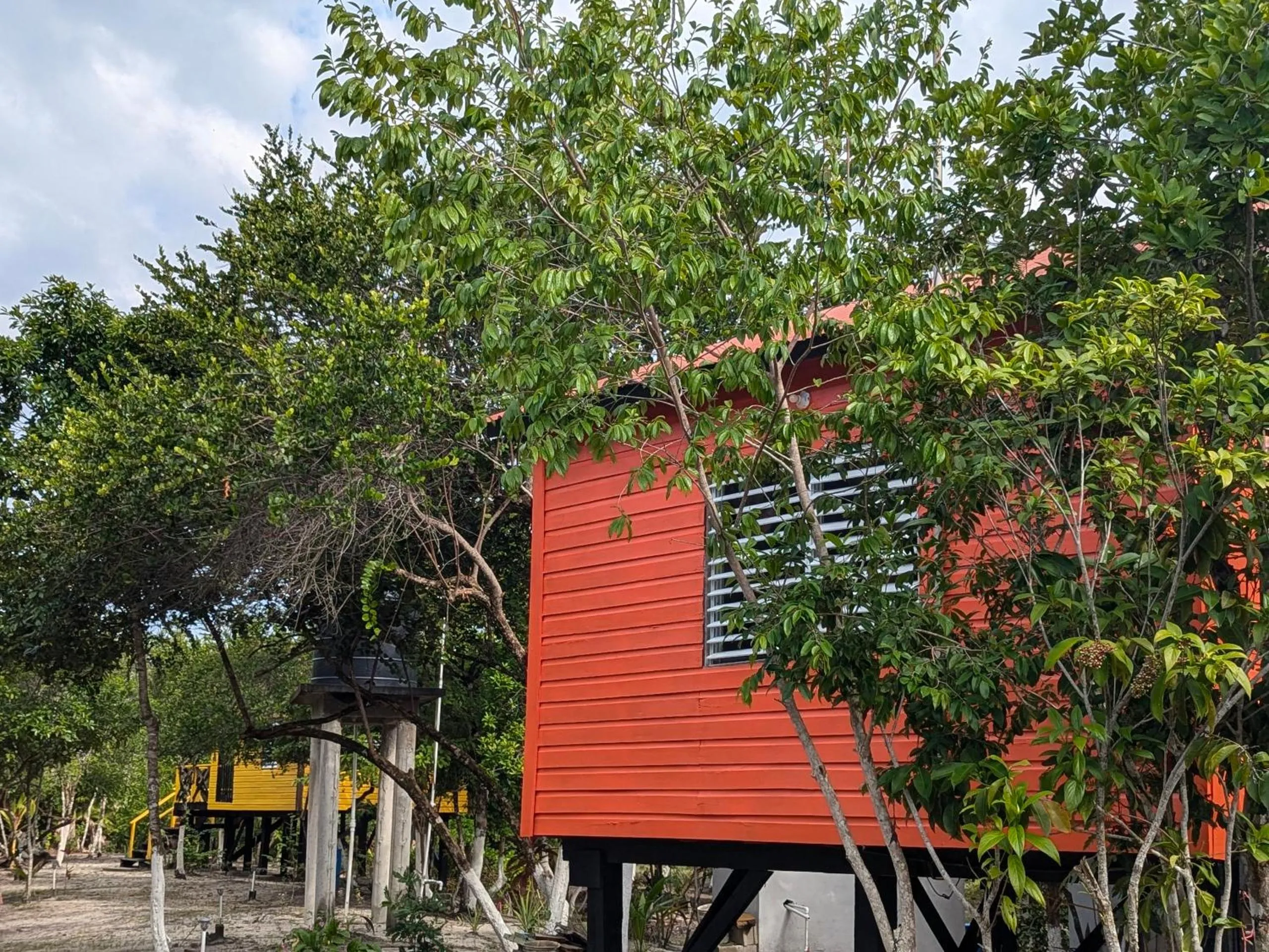 Property building in Palmento Grove Garifuna Eco-Cultural & Healing Institute