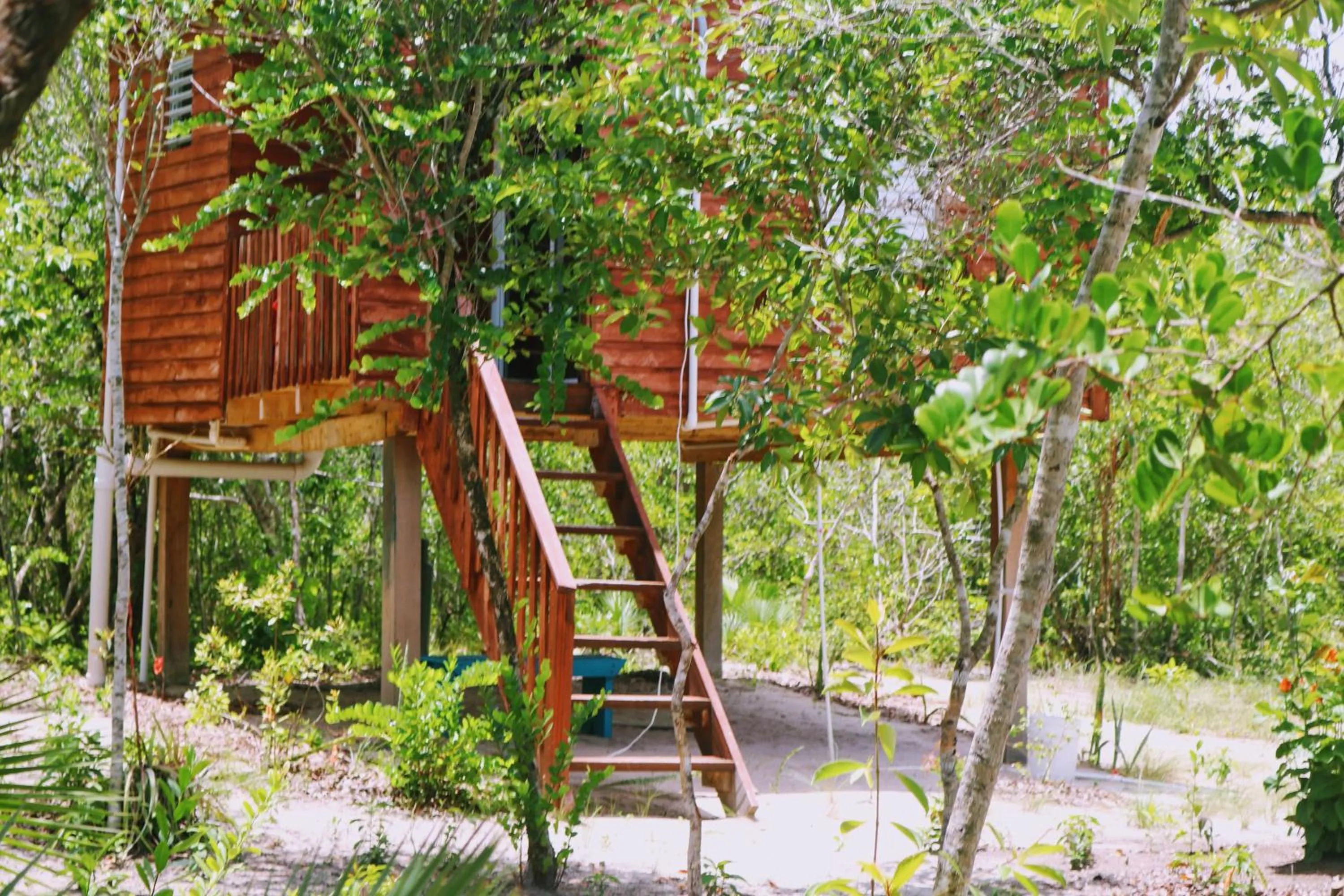 Patio in Palmento Grove Garifuna Eco-Cultural & Healing Institute