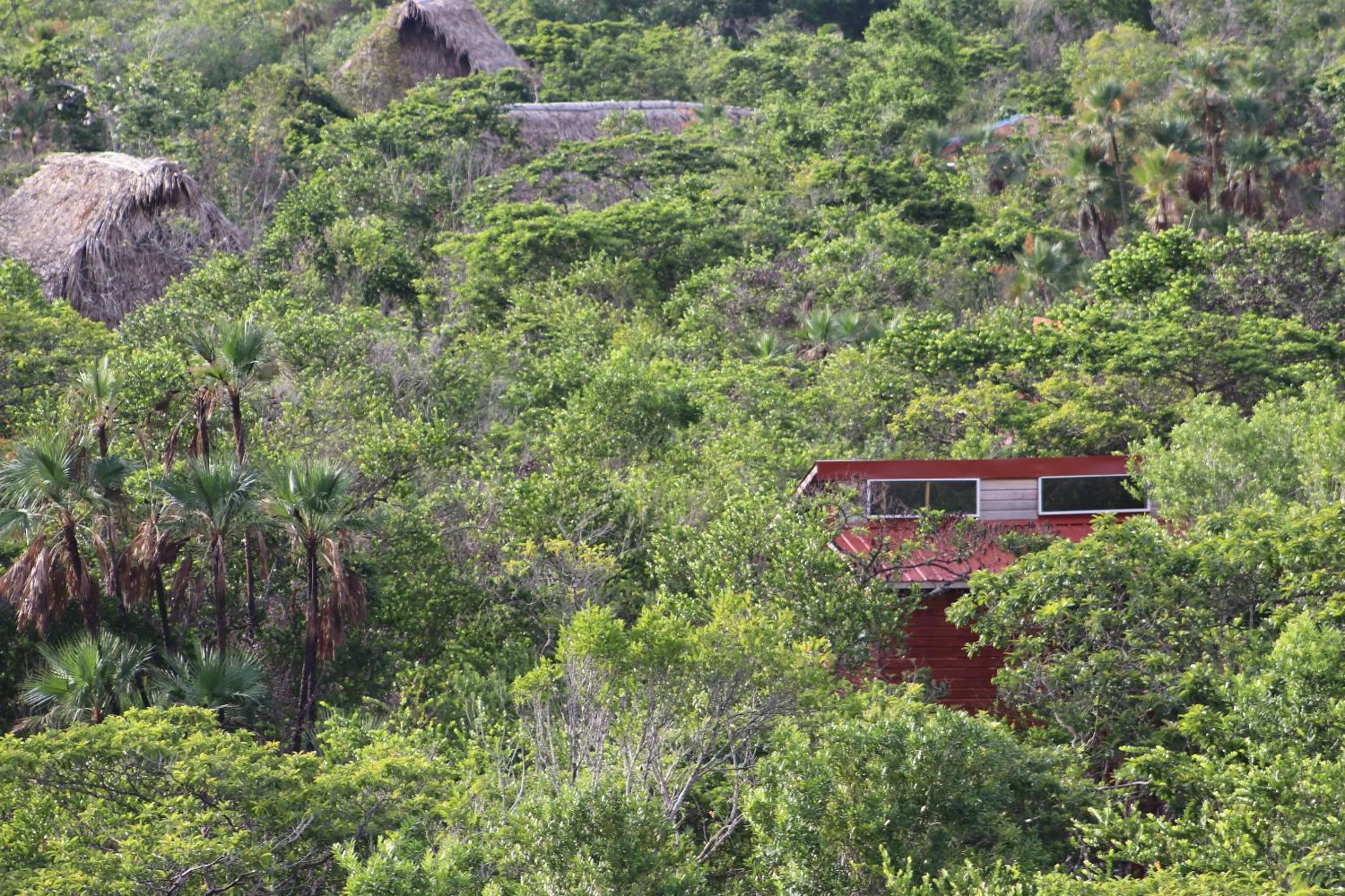 Natural landscape in Palmento Grove Garifuna Eco-Cultural & Healing Institute