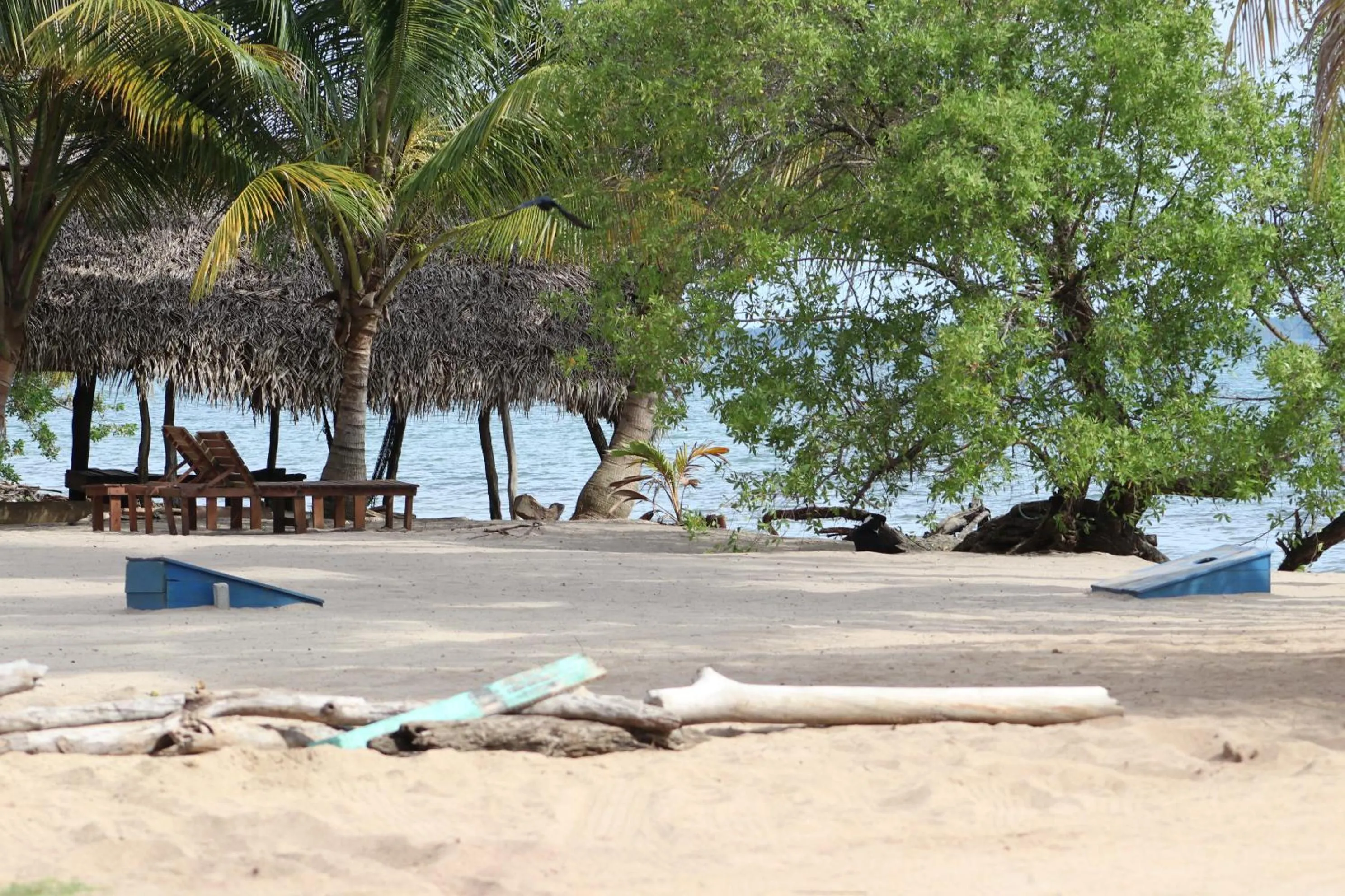 Beach in Palmento Grove Garifuna Eco-Cultural & Healing Institute