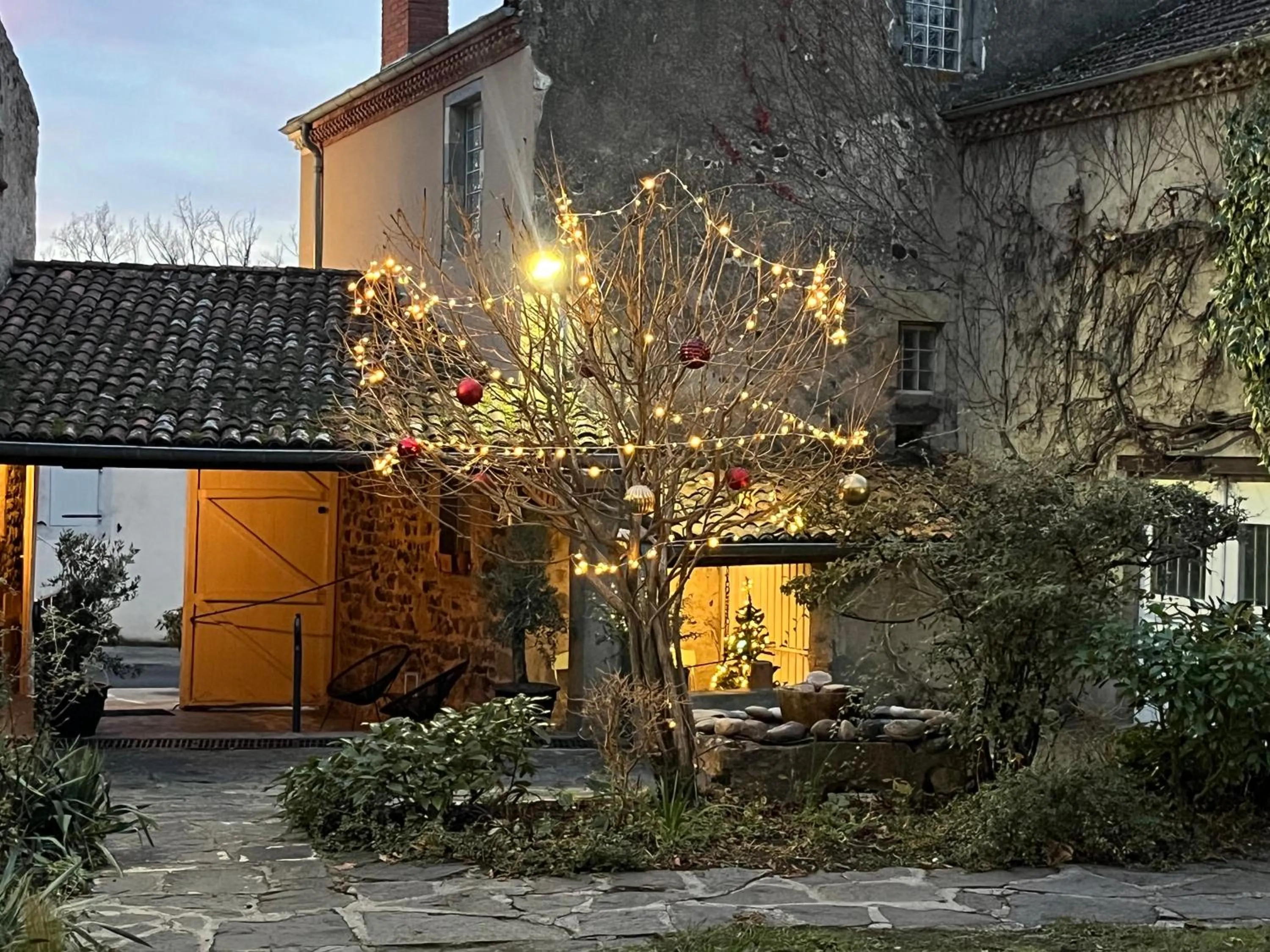 Garden view in la Cour Carrée