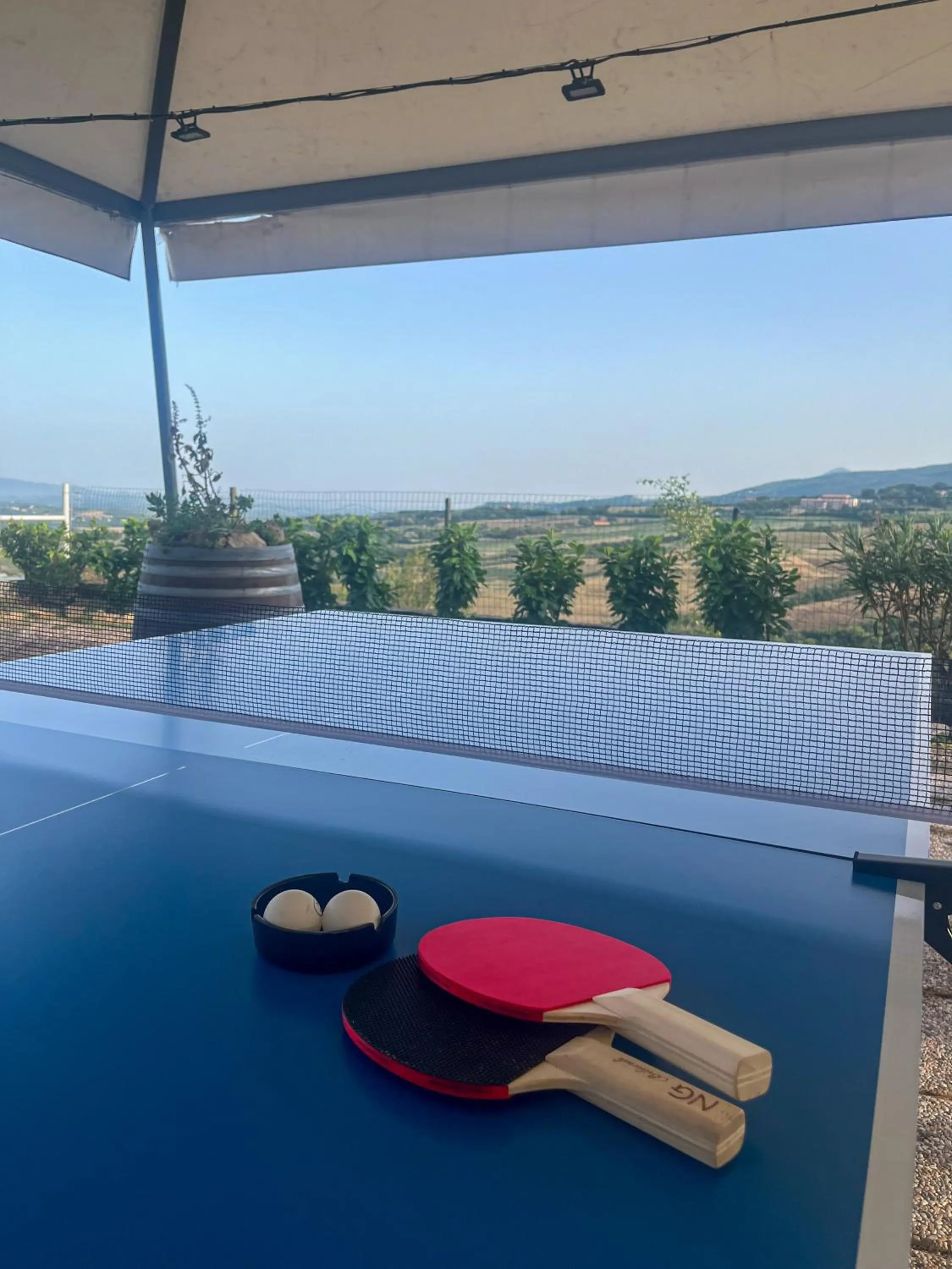 Table tennis in Villa Marina