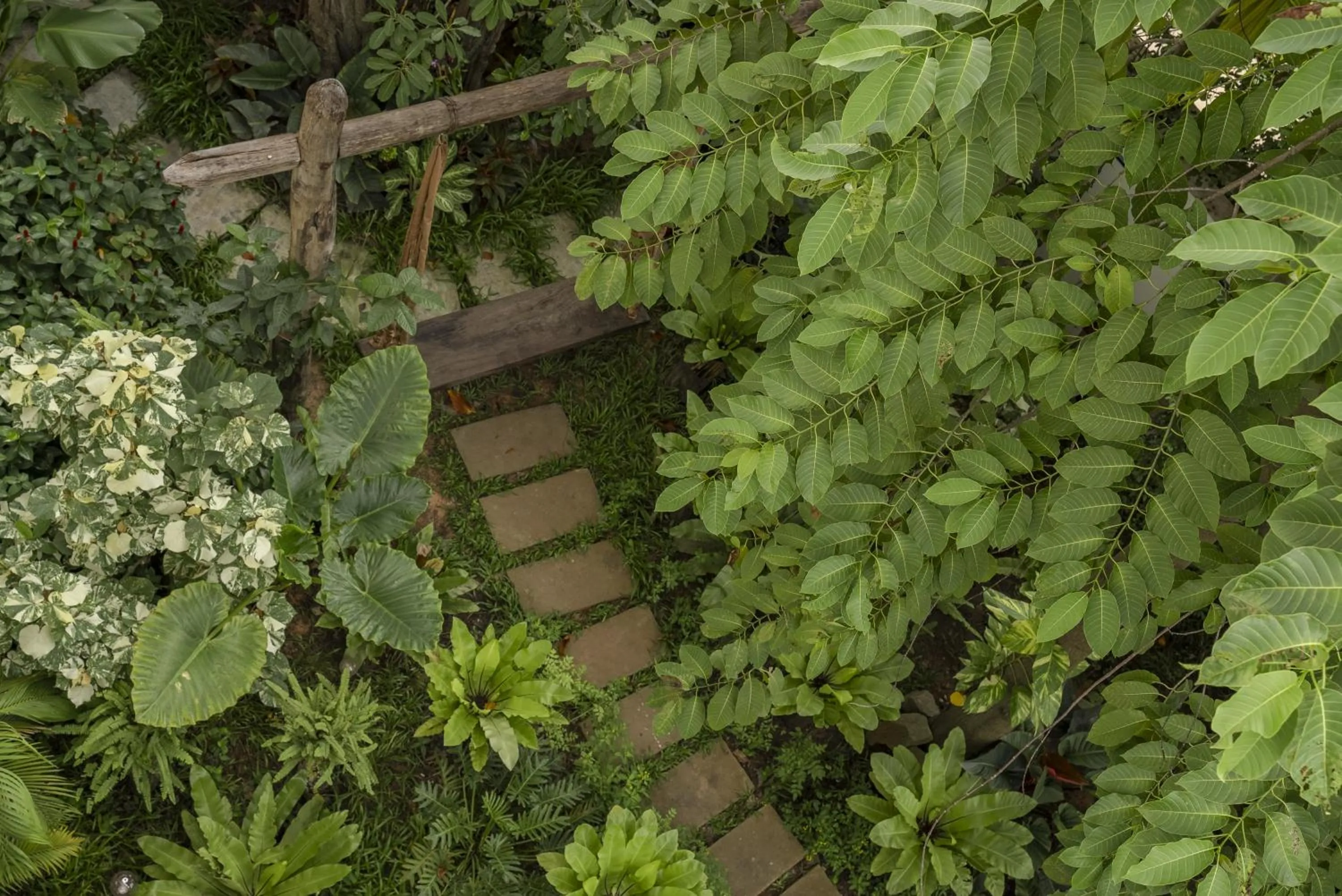Garden in Sarai and Wander Resort