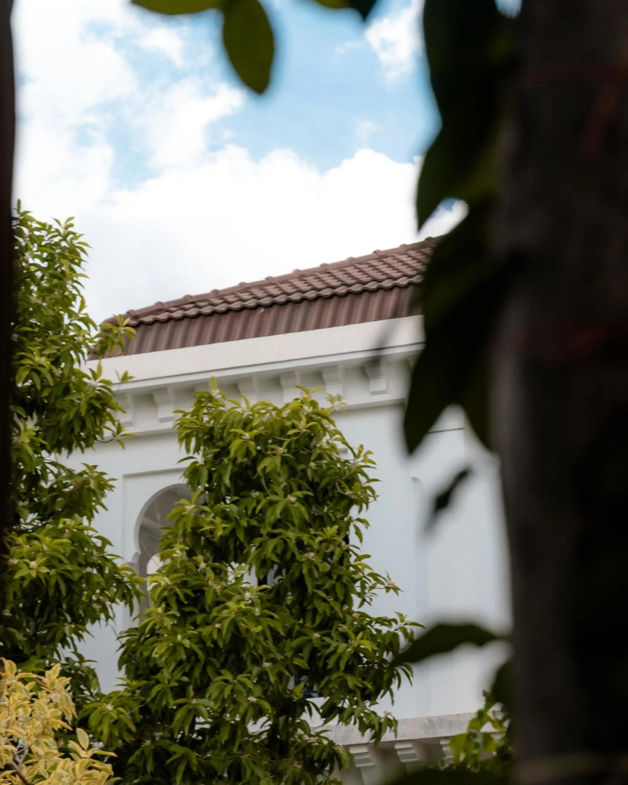 Garden in Sarai and Wander Resort