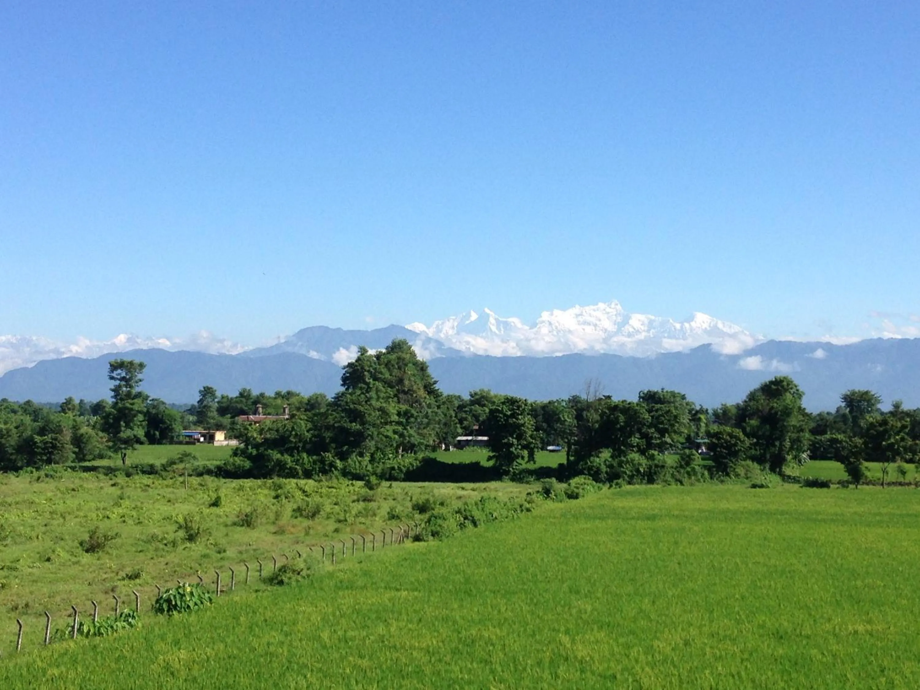 View (from property/room) in Sweet Home