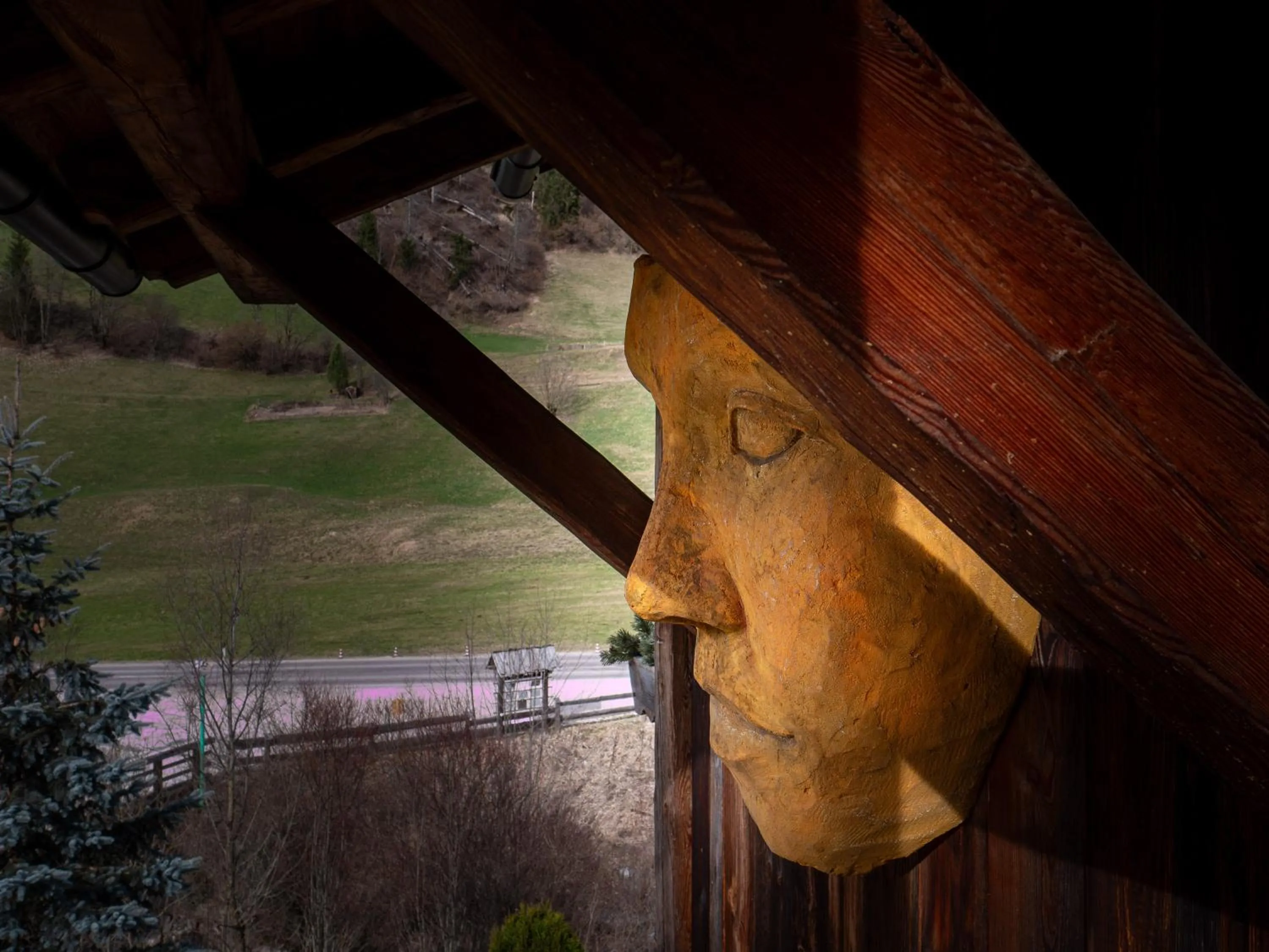 Property building in Alpine Mountain Chalet